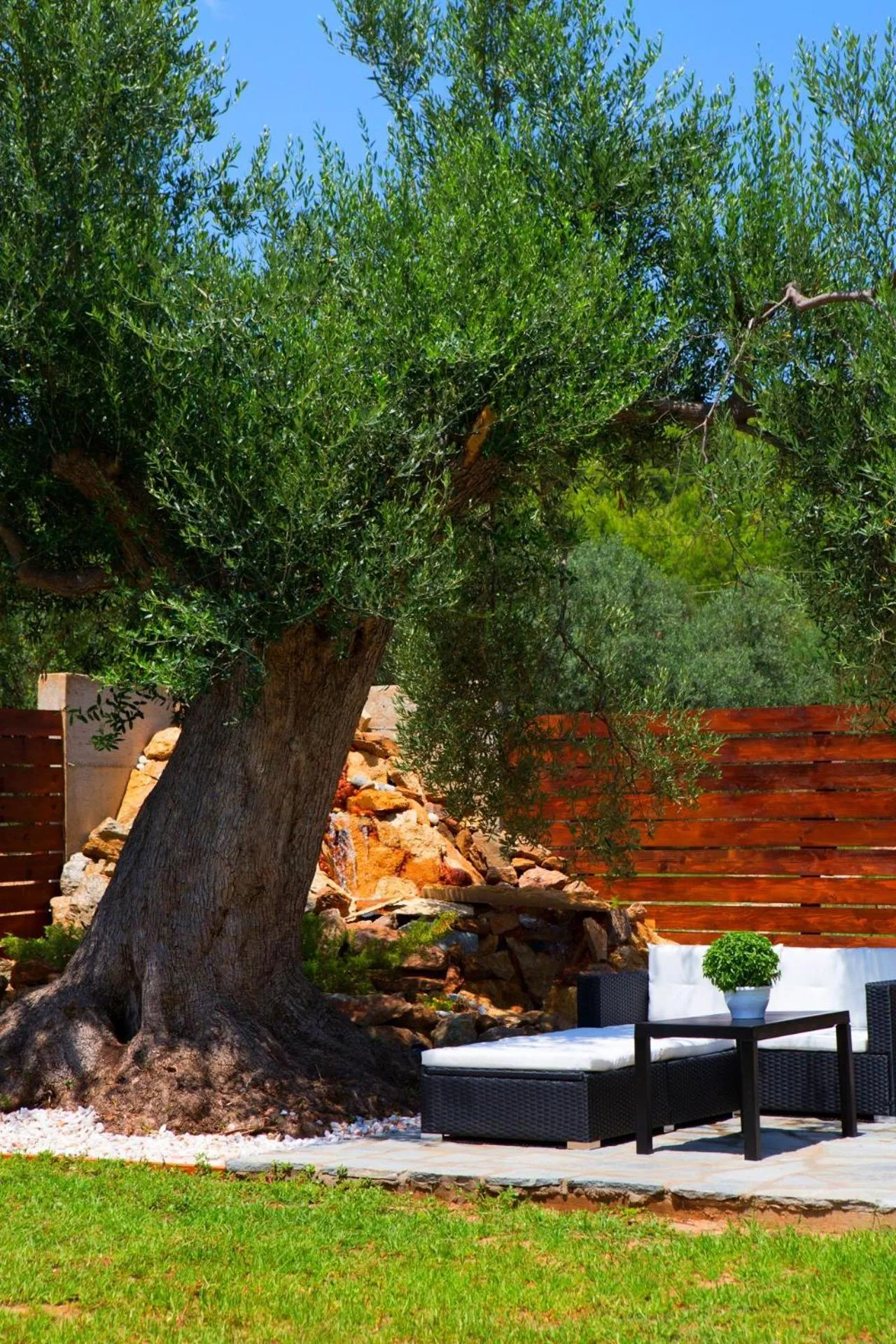 Garden in Salonikiou Beach Apartments & Villas