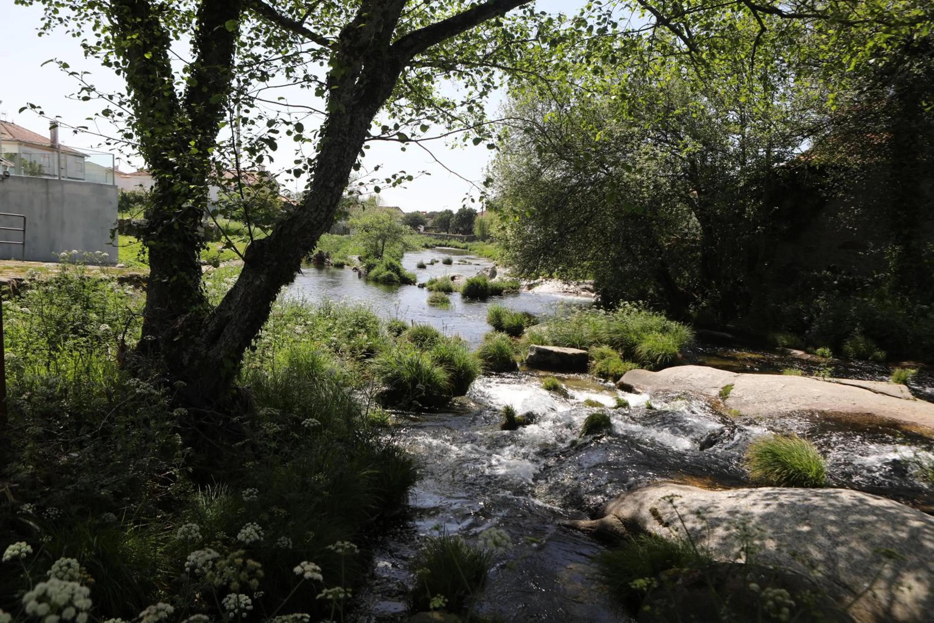 Natural landscape in Hotel A Ponte