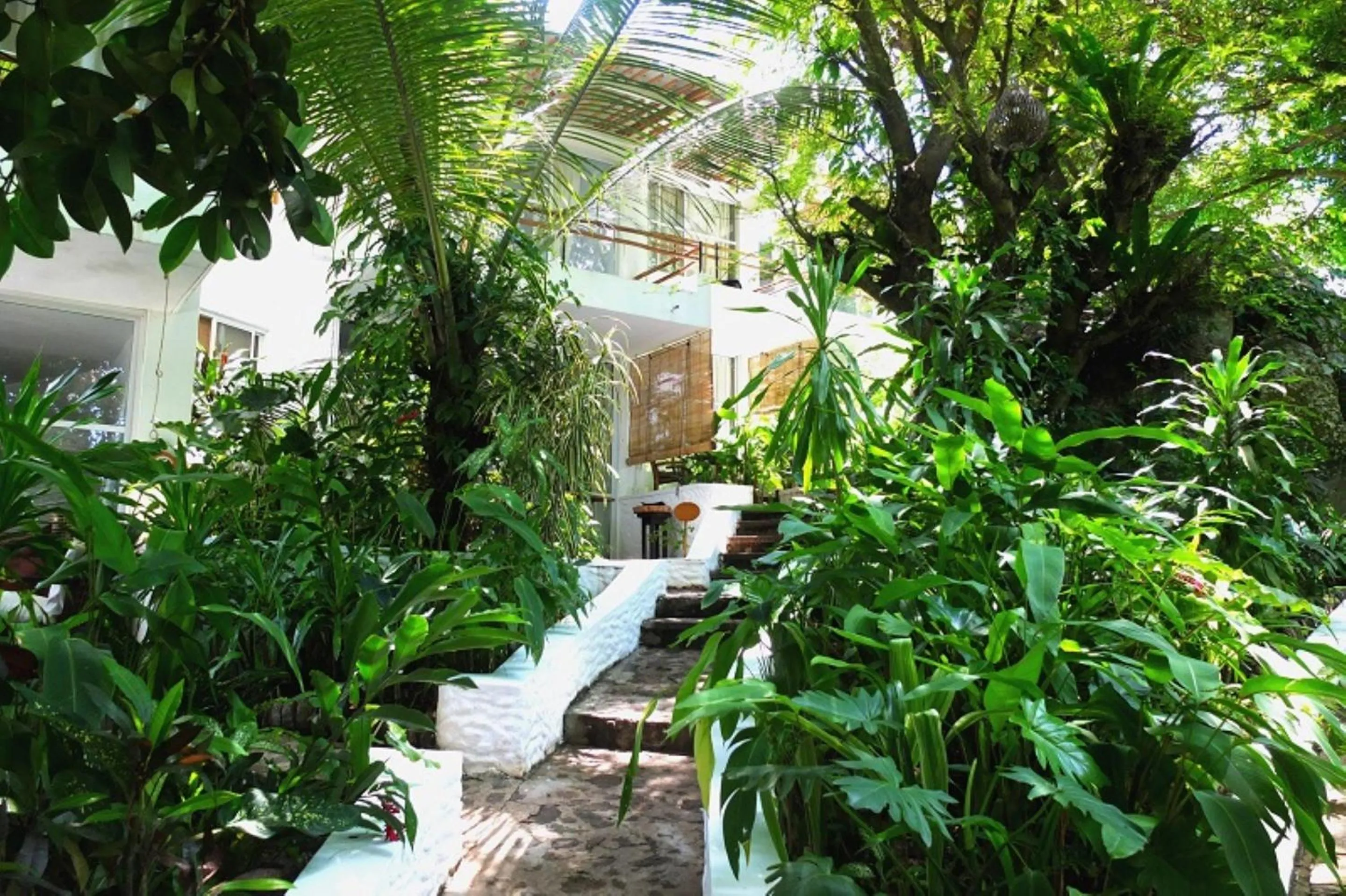 Garden in Bliss Boutique Hotel Seychelles