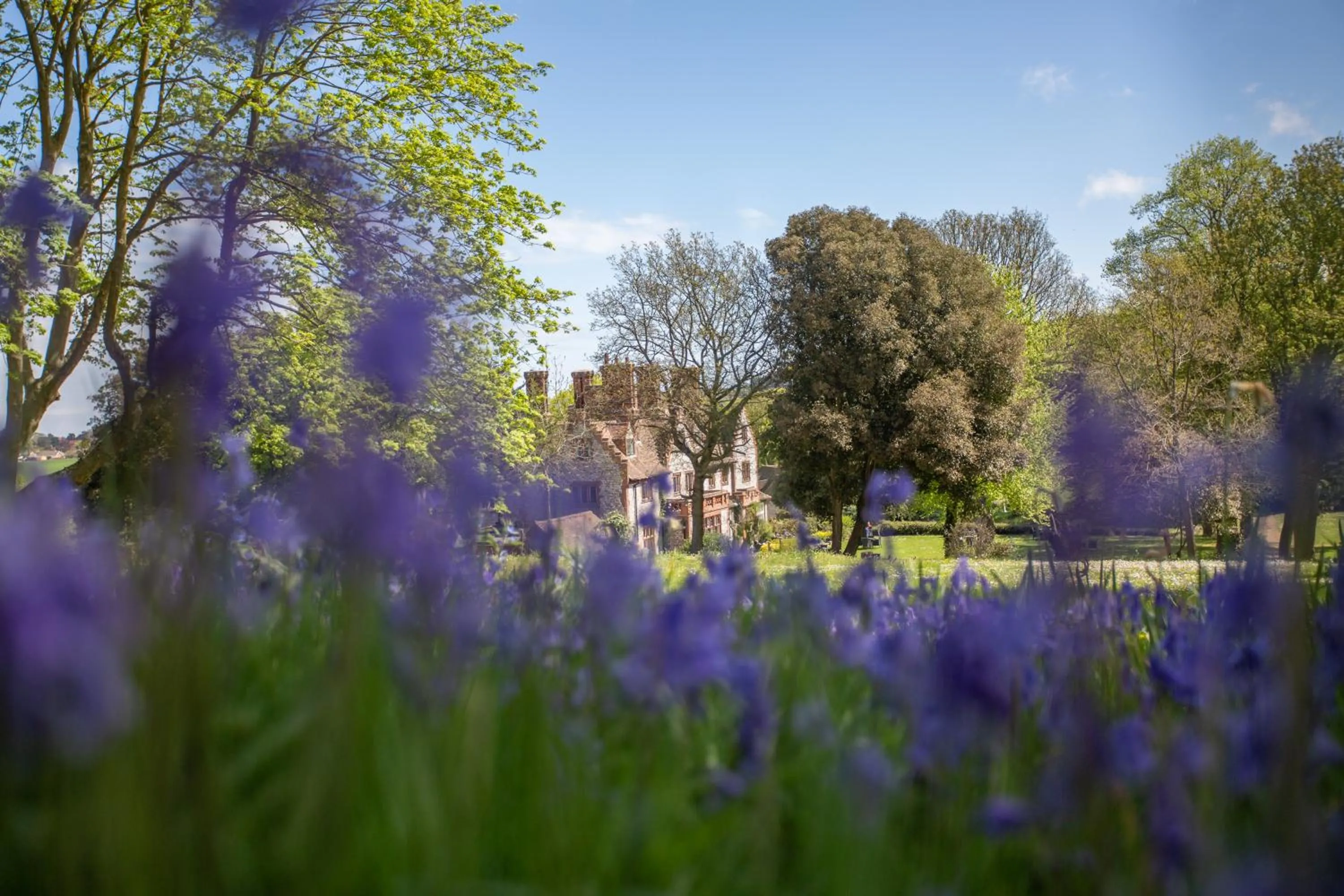 Garden in Dales Country House Hotel