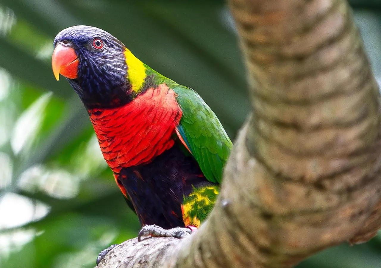 Activities in Langley Resort Fort Royal