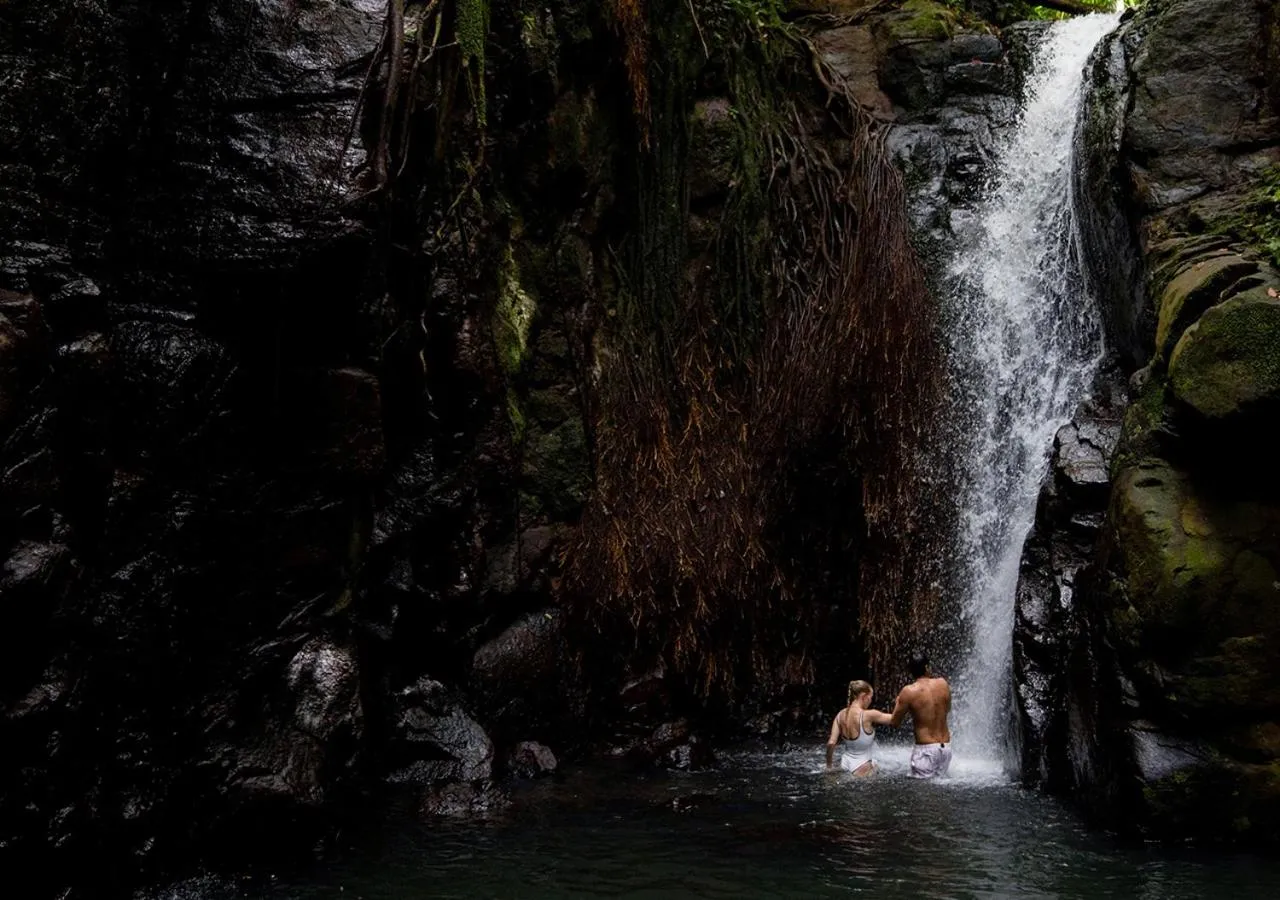 Activities in Langley Resort Fort Royal