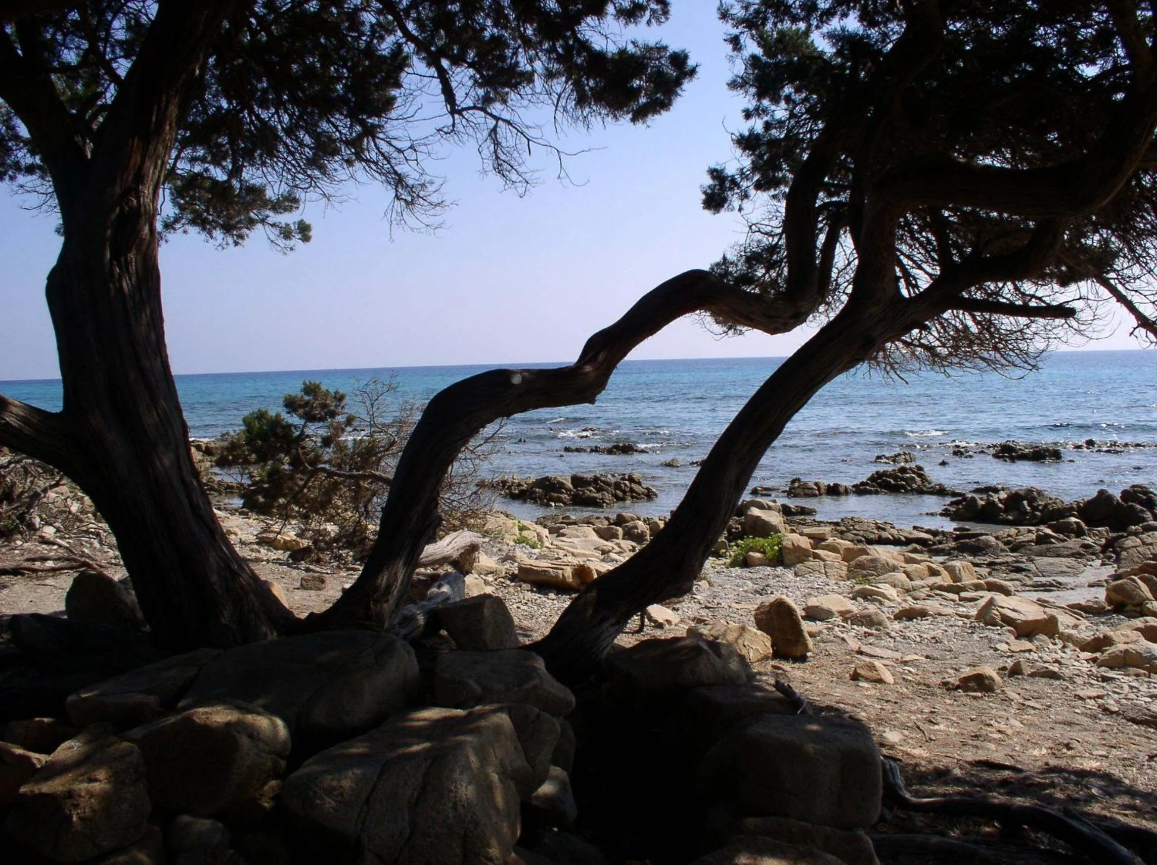 Area and facilities in Residence Marina Palace