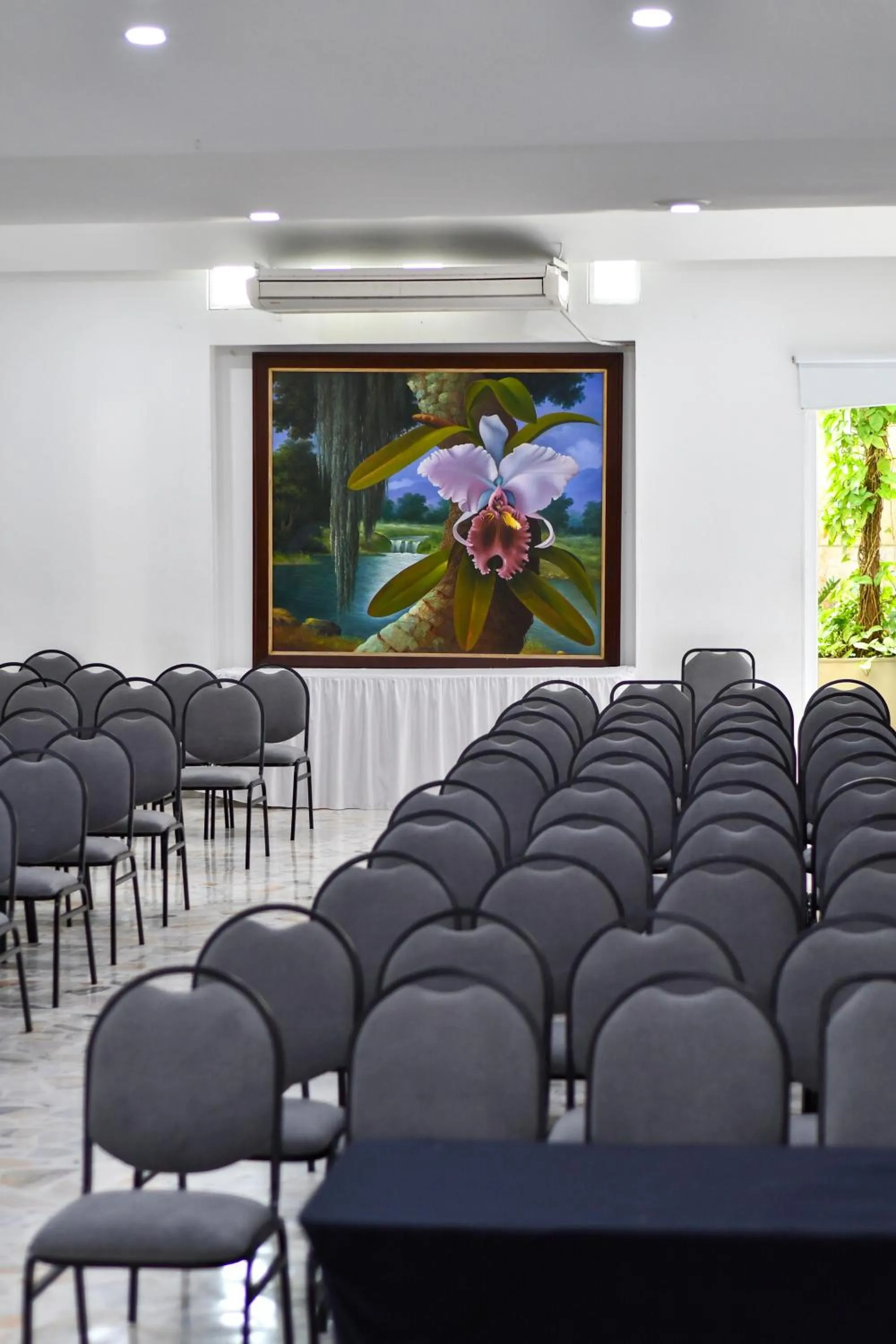 Meeting/conference room in Hotel Buena Vista