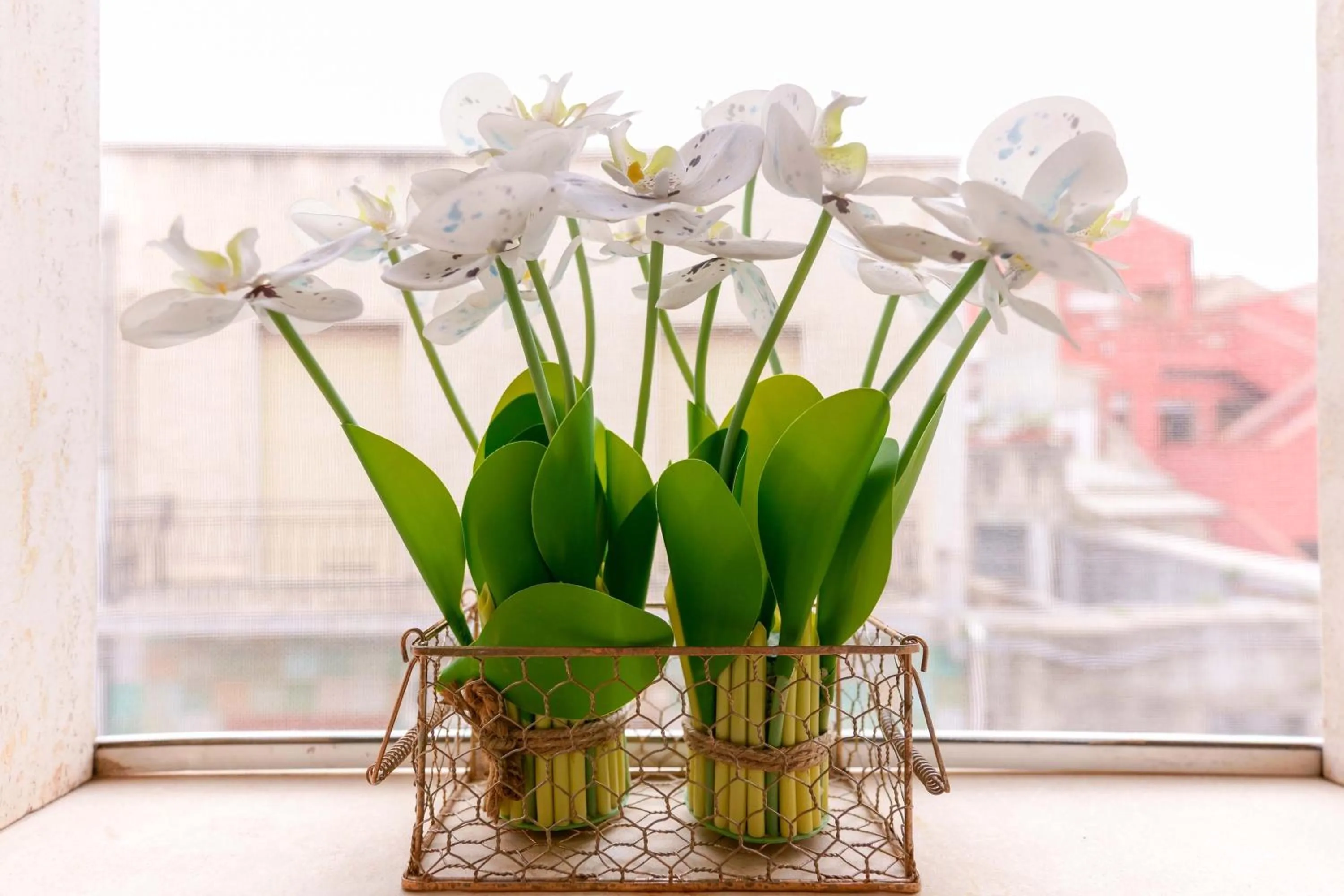 Montellinos Suite Tortora