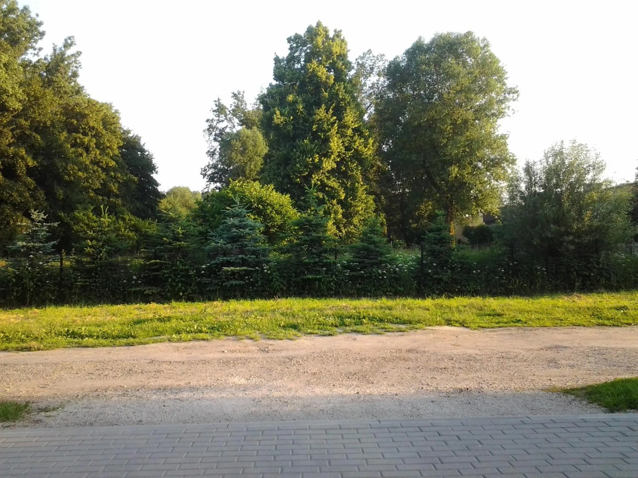 Area and facilities in Villa Green