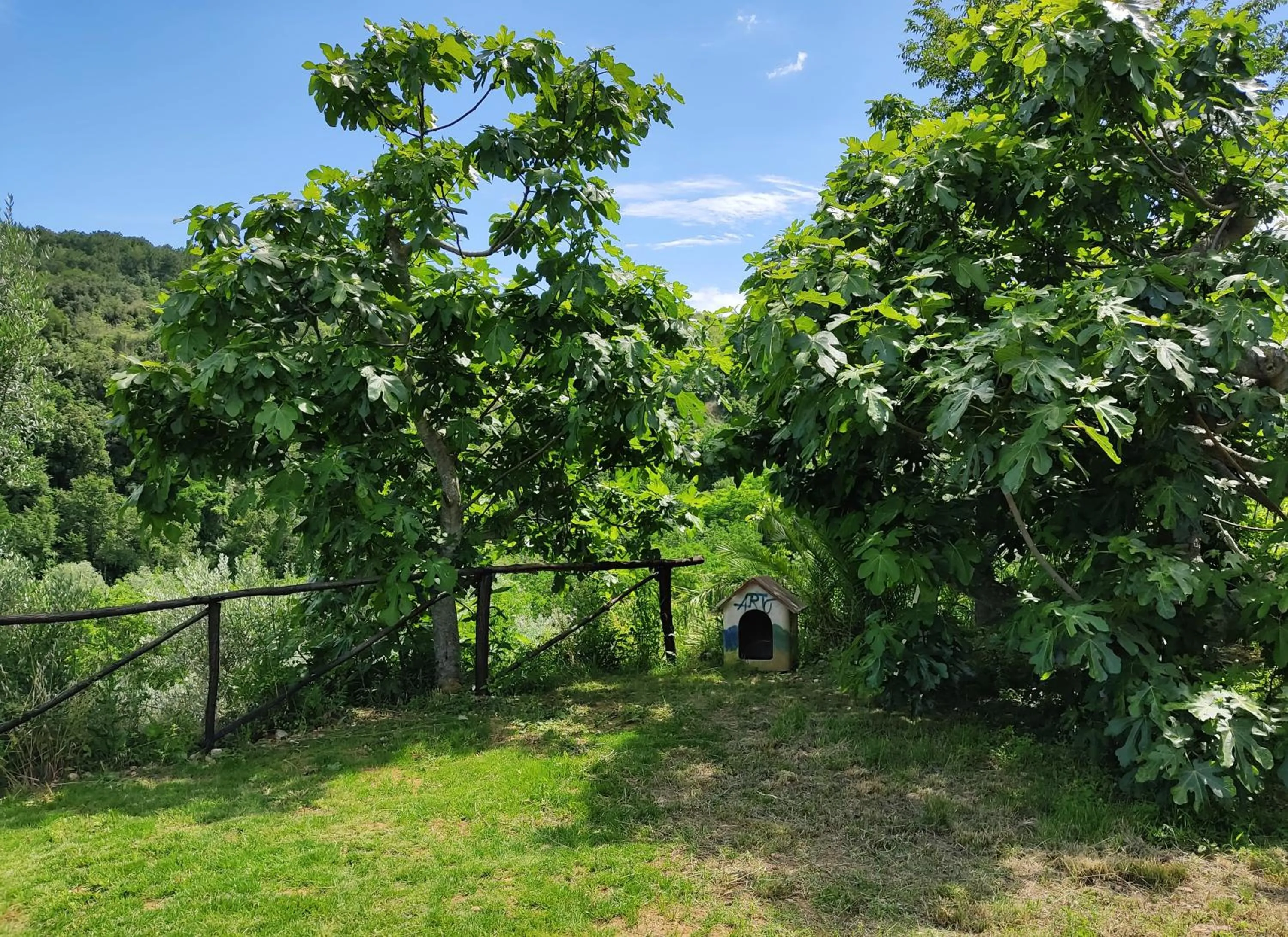 Natural landscape in Il Corbezzolo