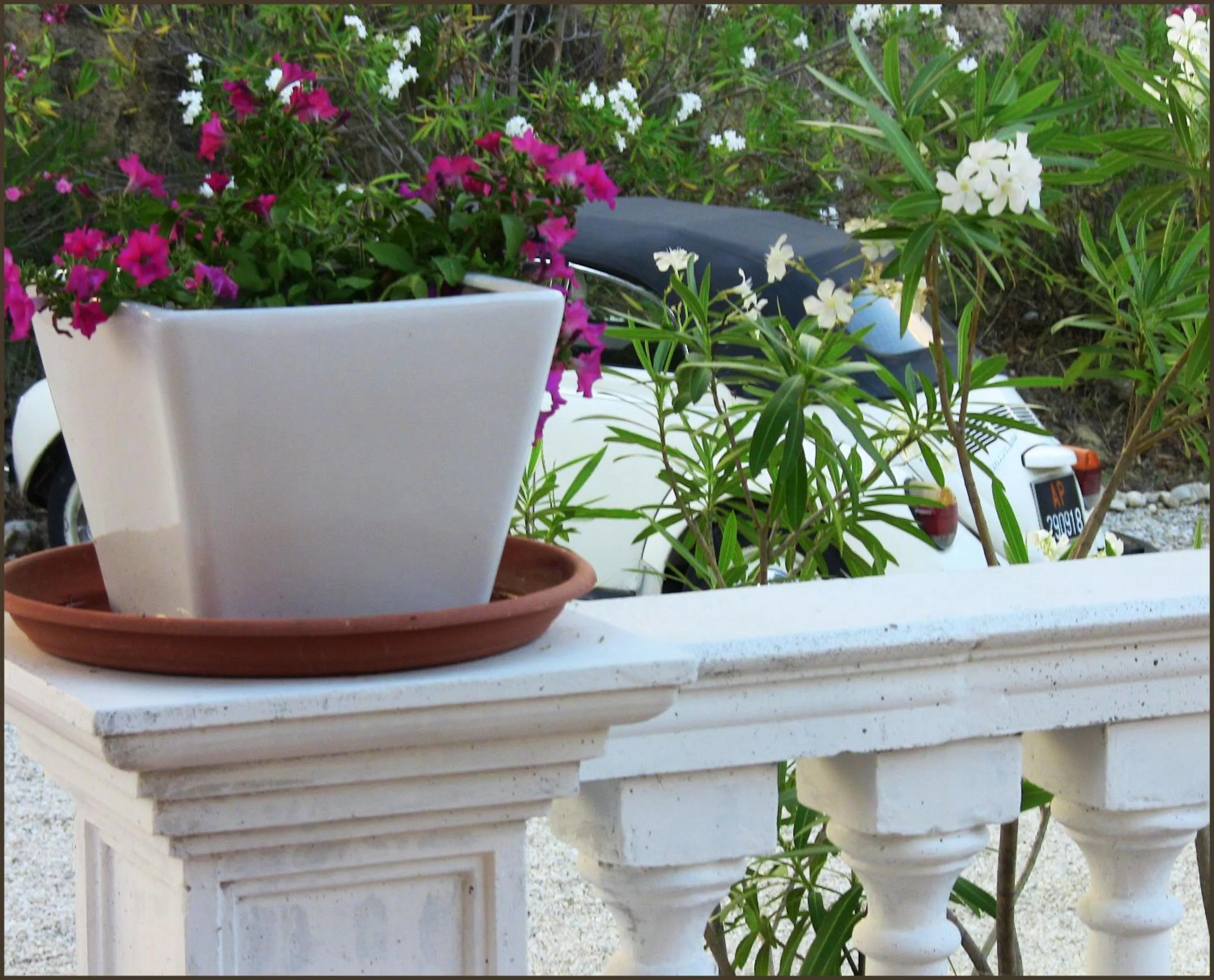 Decorative detail in Il Corbezzolo