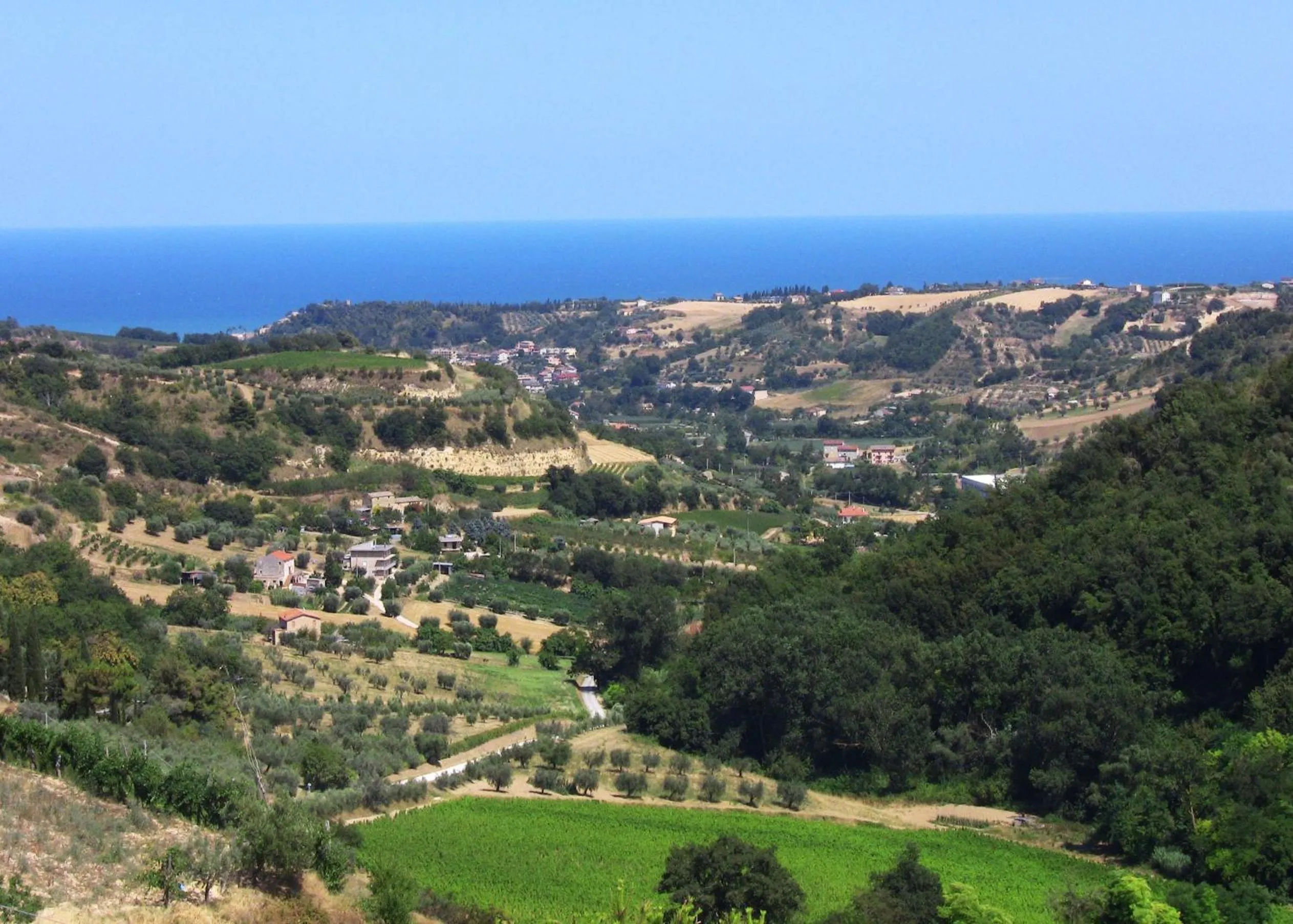 View (from property/room) in Il Corbezzolo