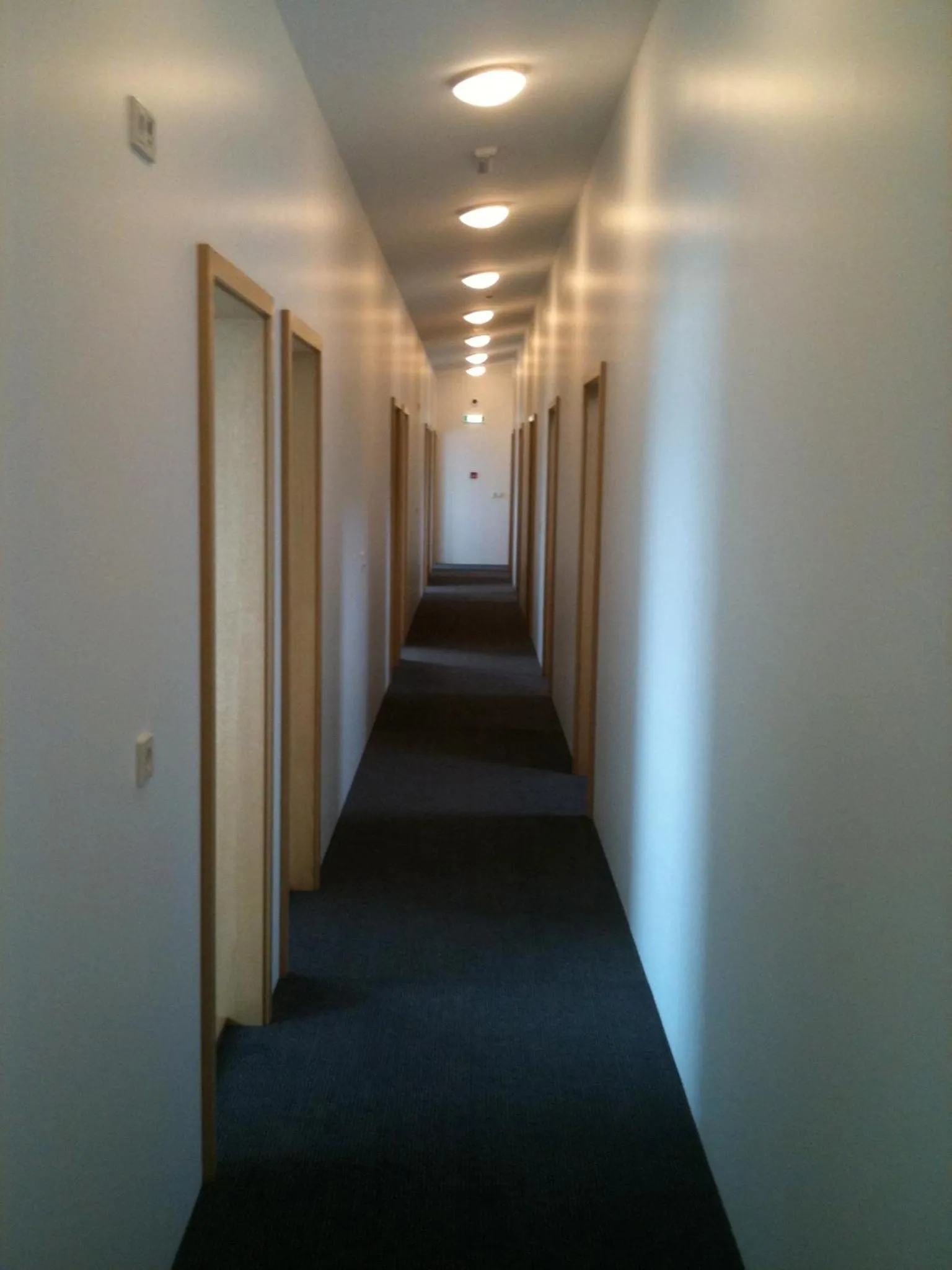 Decorative detail in Blabjorg Resort