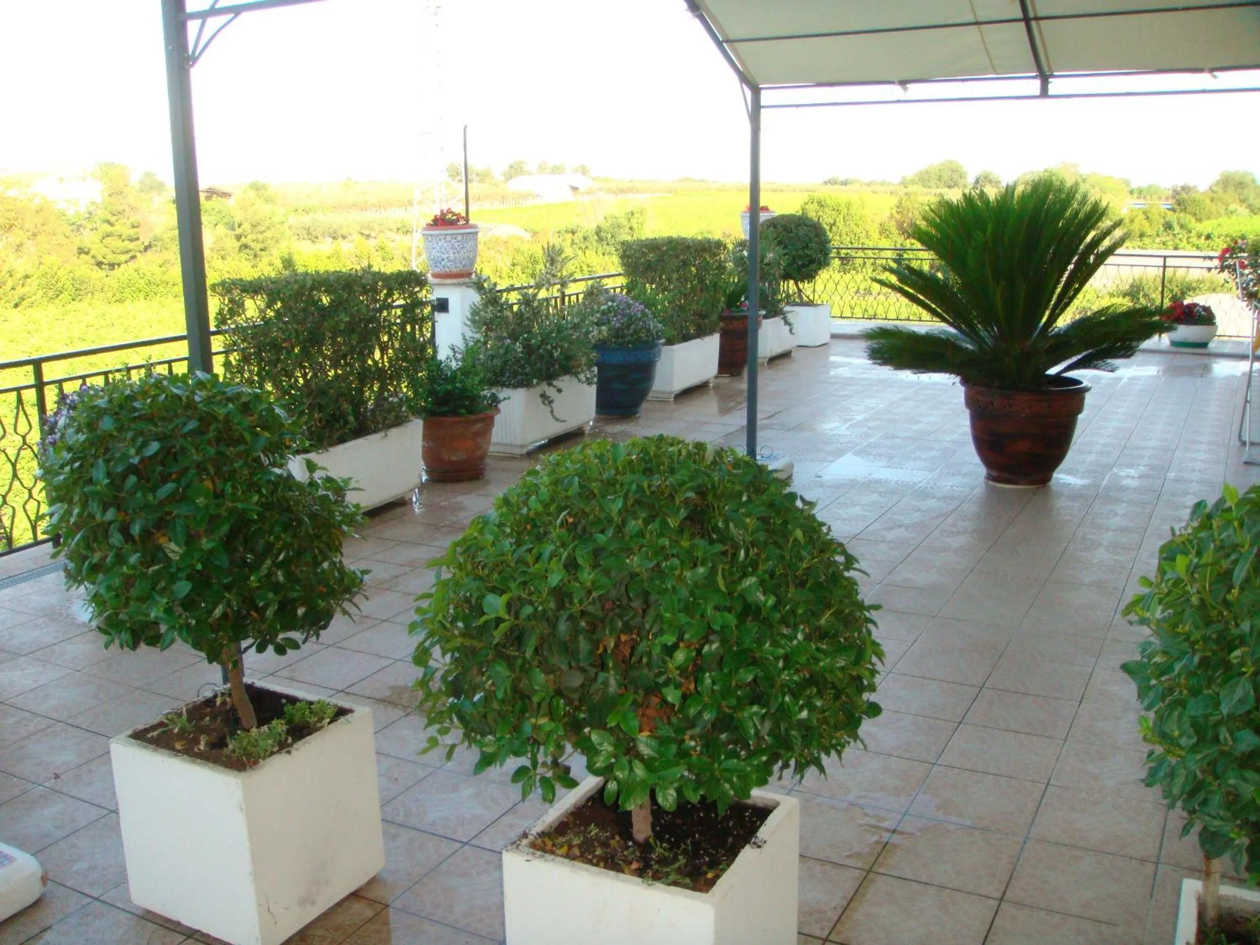 Balcony/Terrace in B&B Costa D'Abruzzo