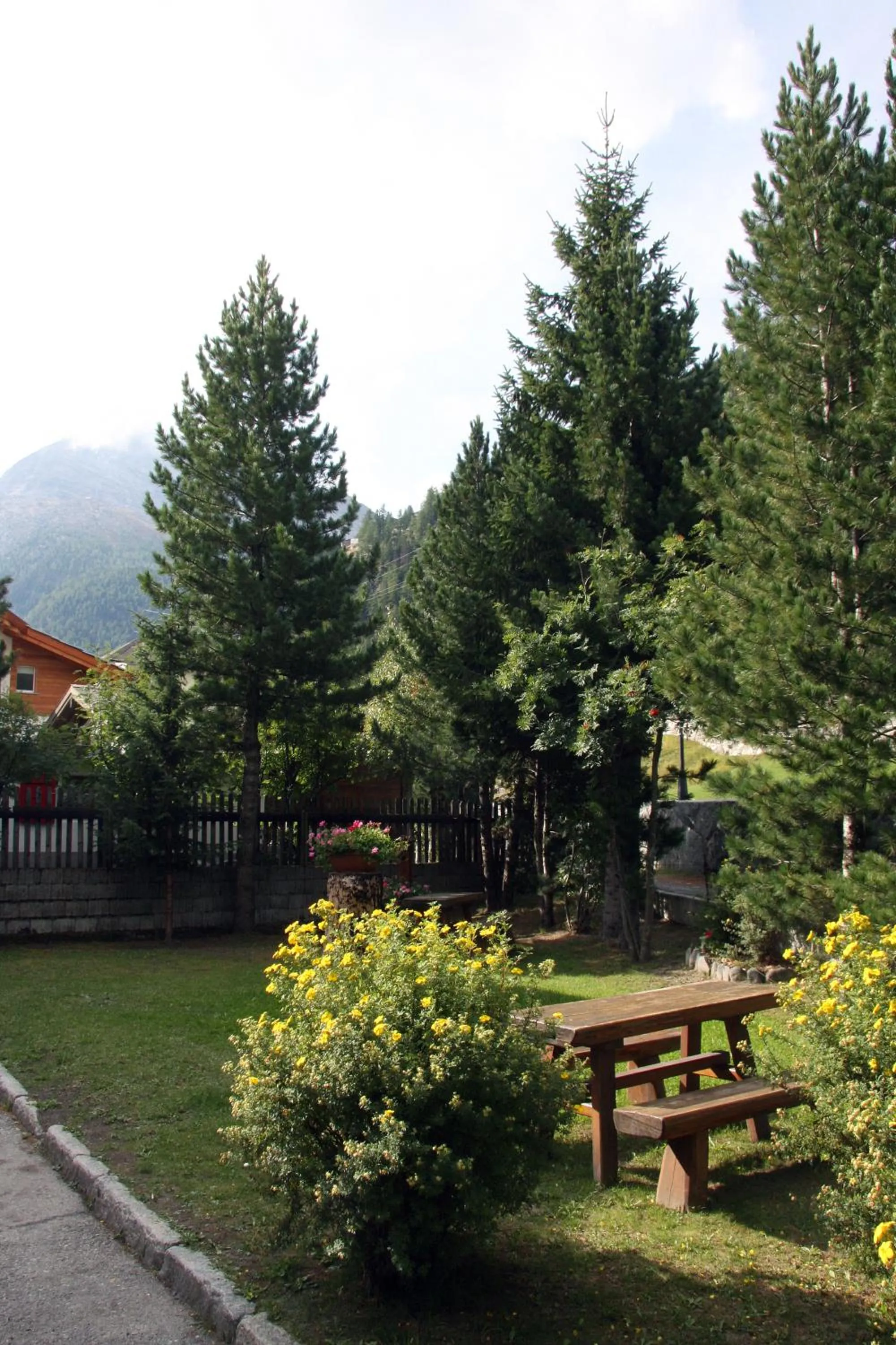 Summer in Hotel Alpha