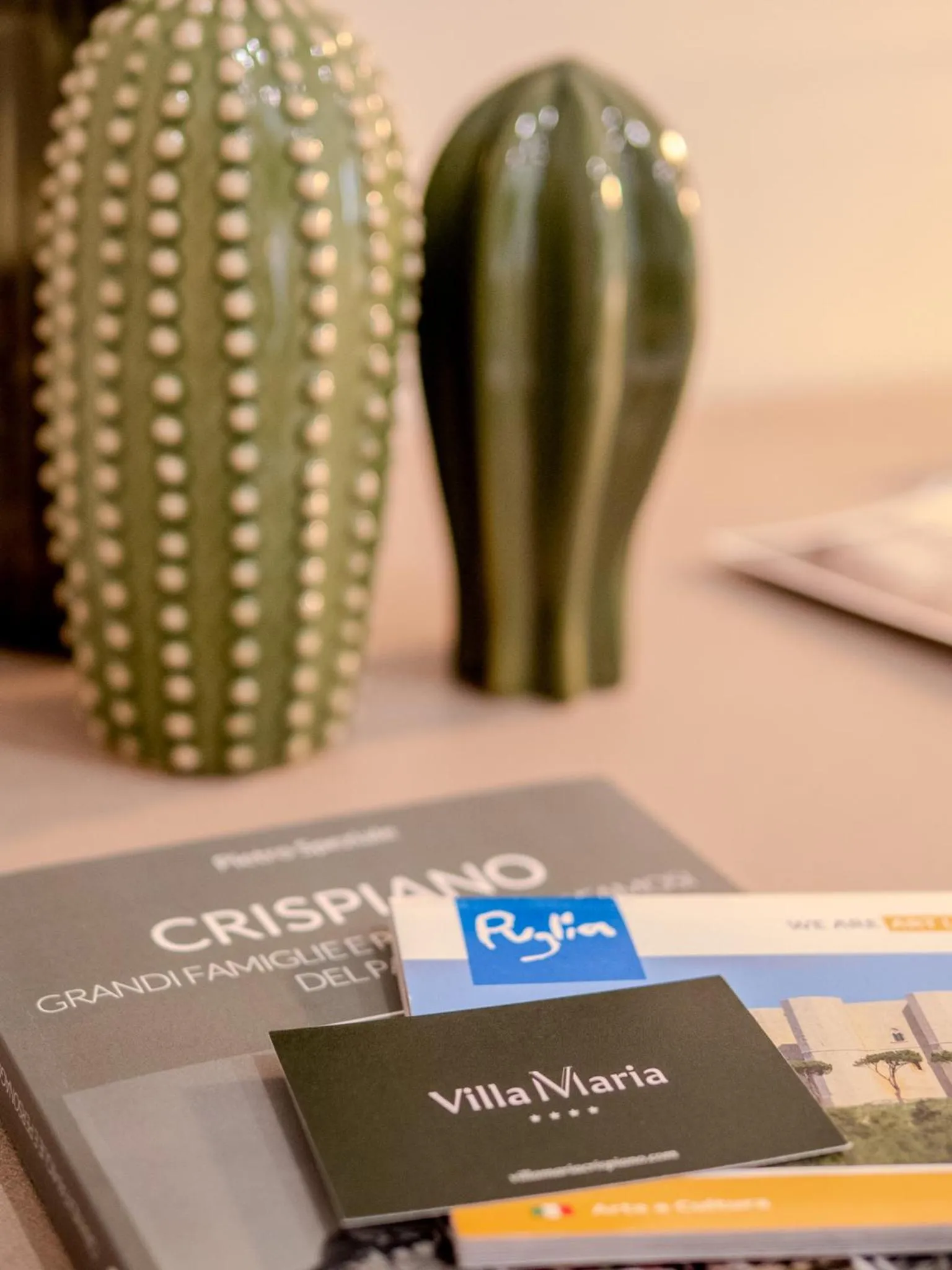 Property logo or sign in Hotel Villa Maria