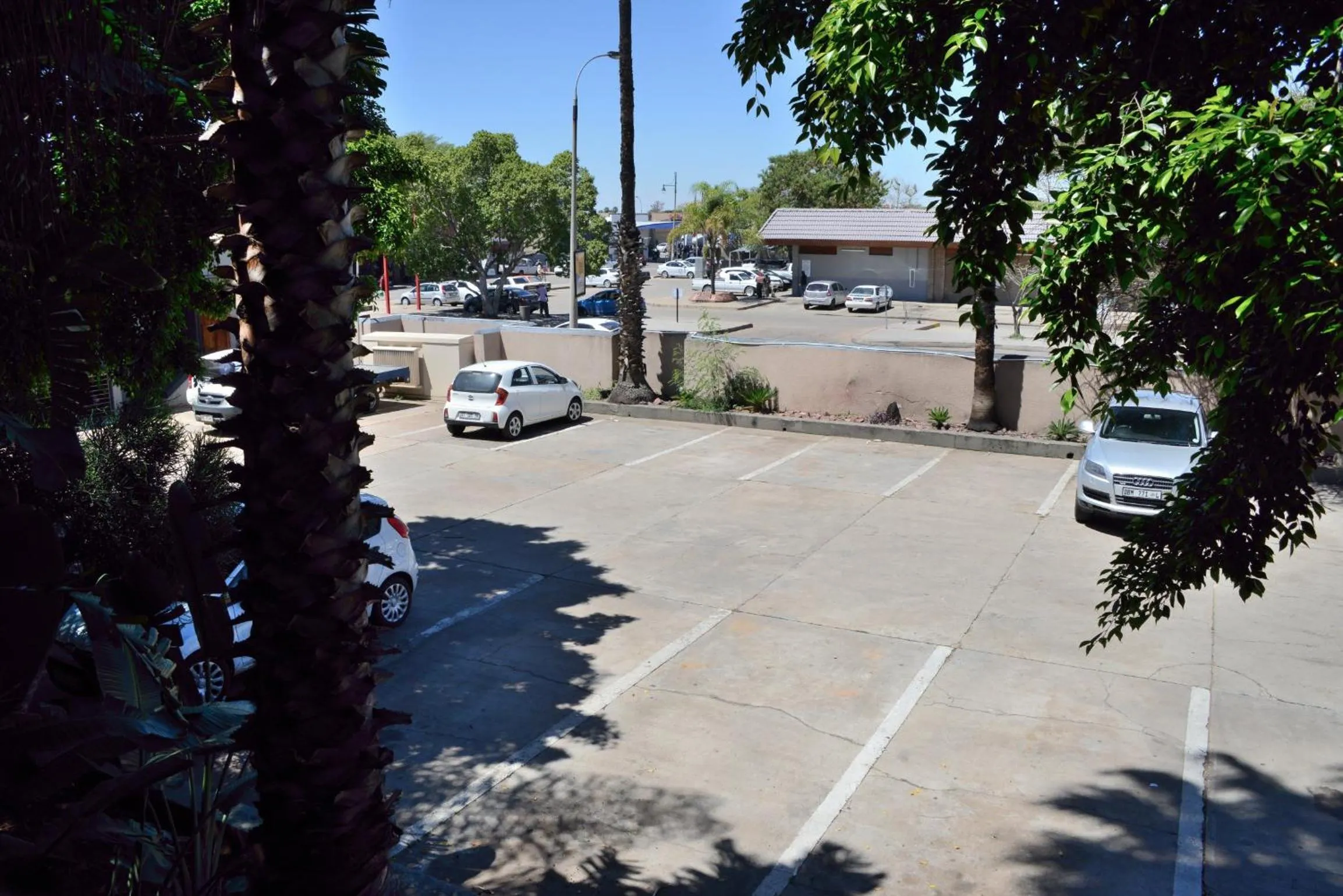 Street view in Elephant Springs
