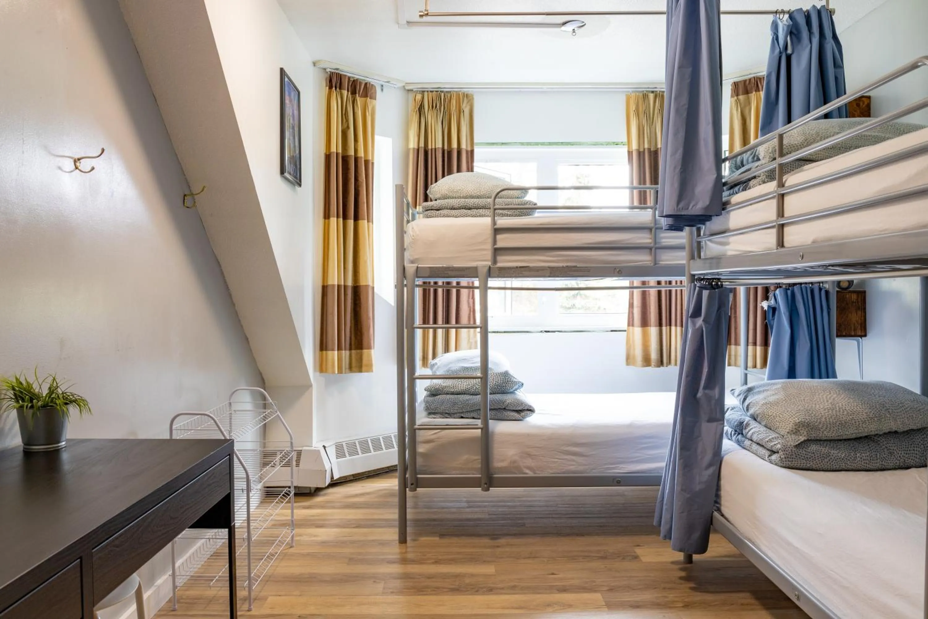 bunk bed, Bed in Samesun Banff Hostel