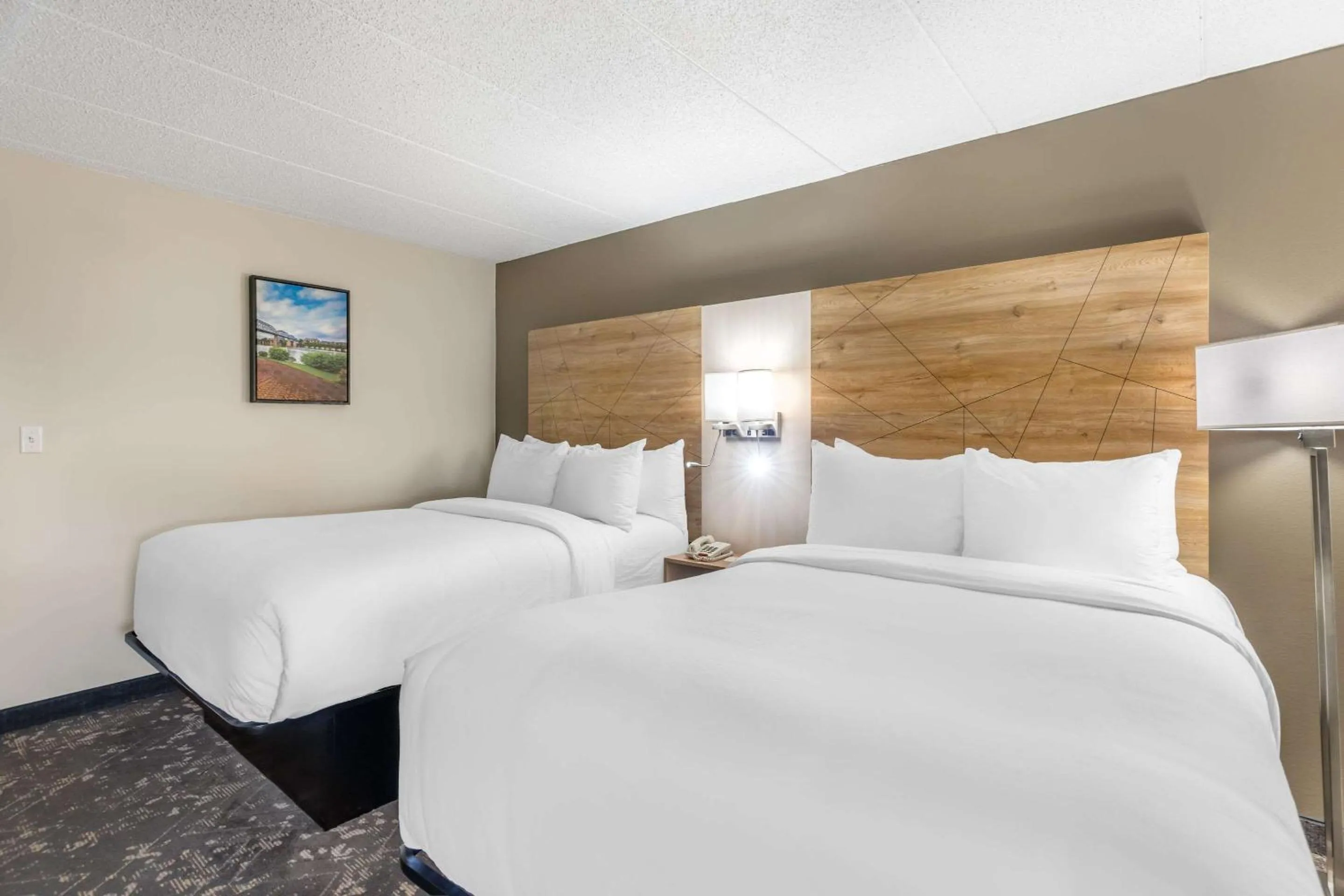 Bedroom, Bed in Comfort Inn & Suites Chattanooga-East Ridge