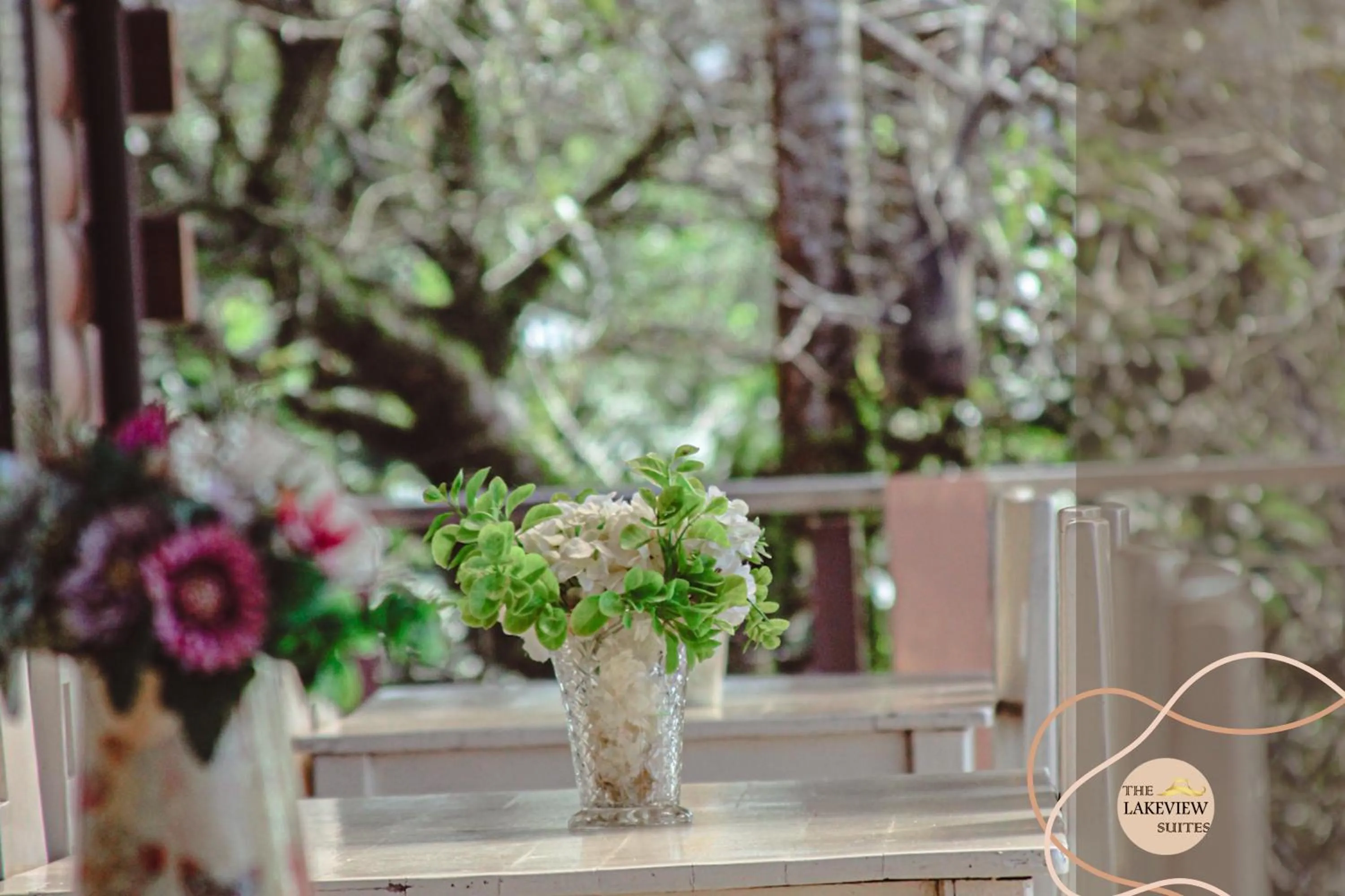 Restaurant/places to eat in The Lakeview Suites