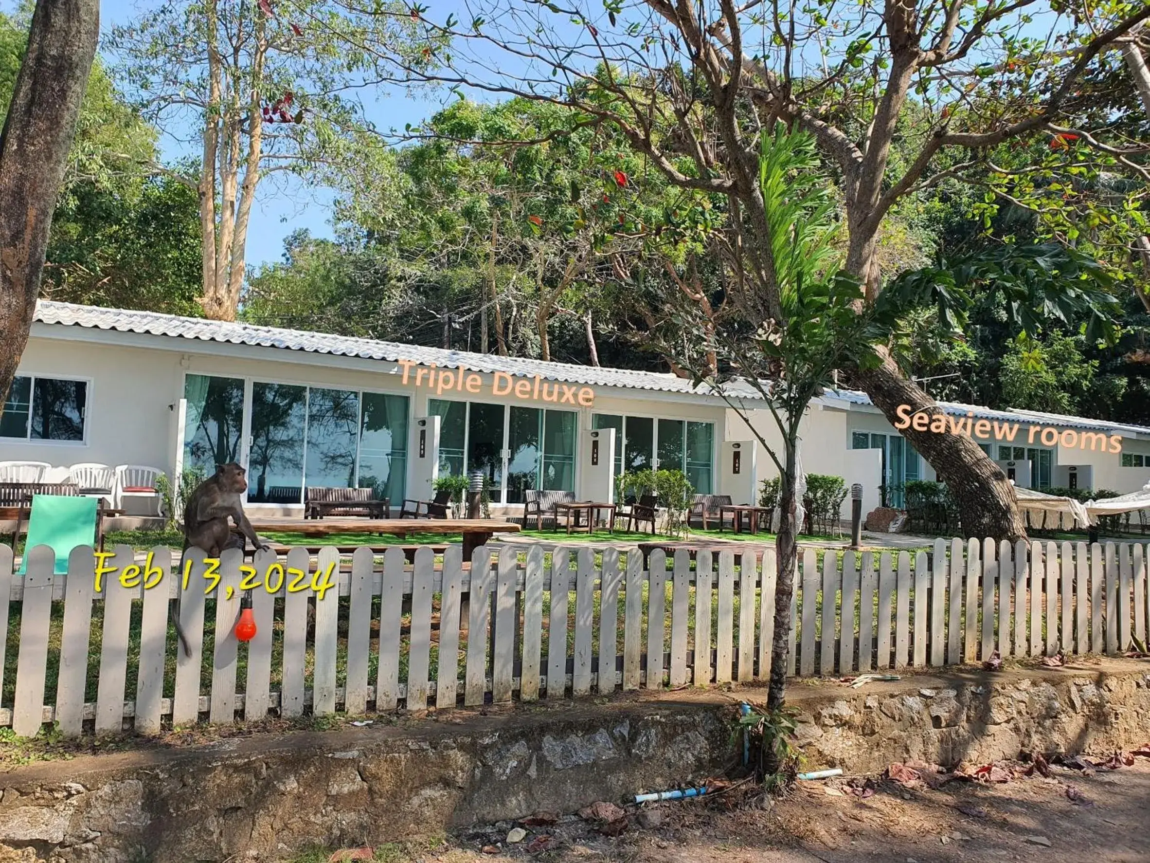 Baansukhita Baansukhita