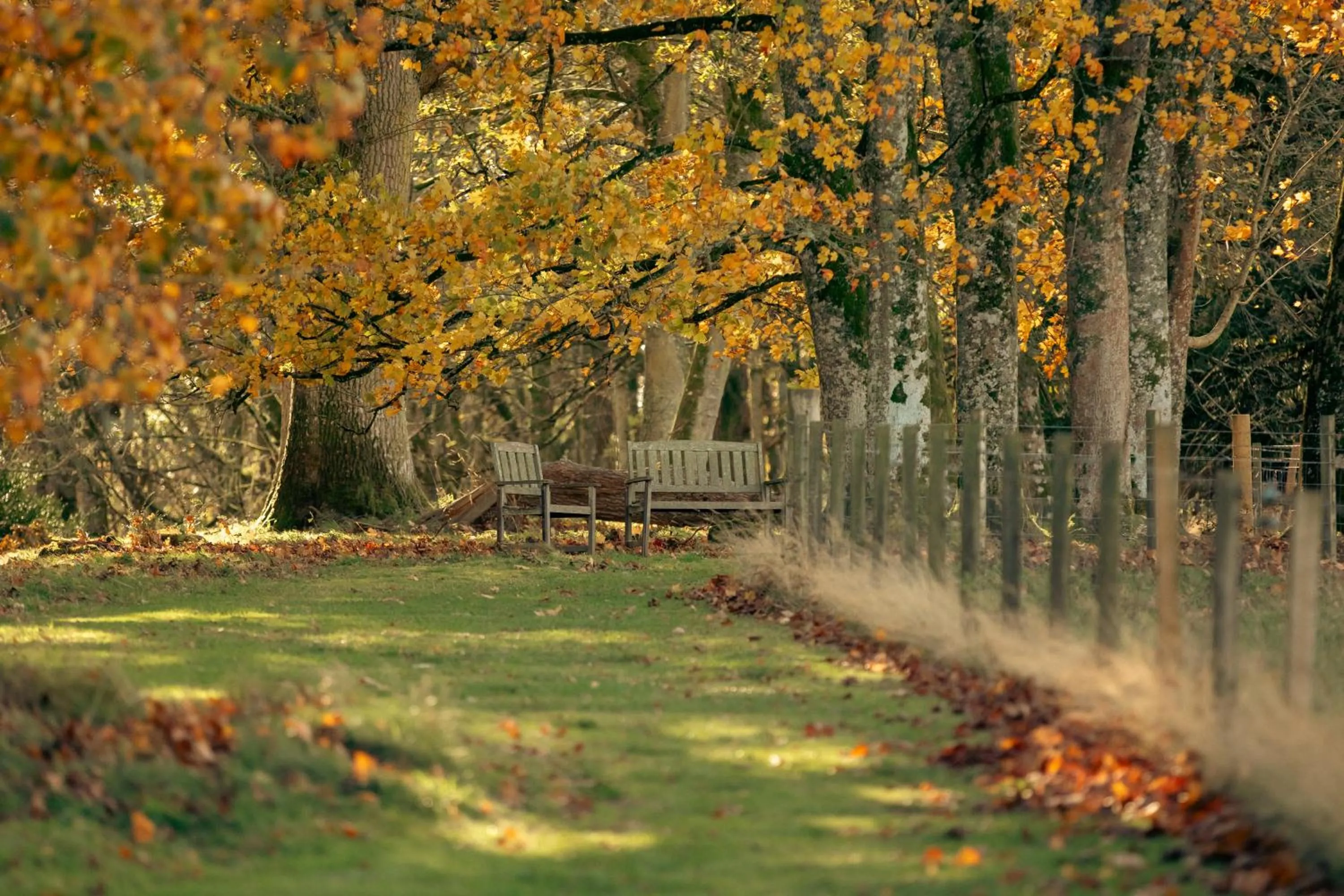 Garden in Ballathie House Hotel