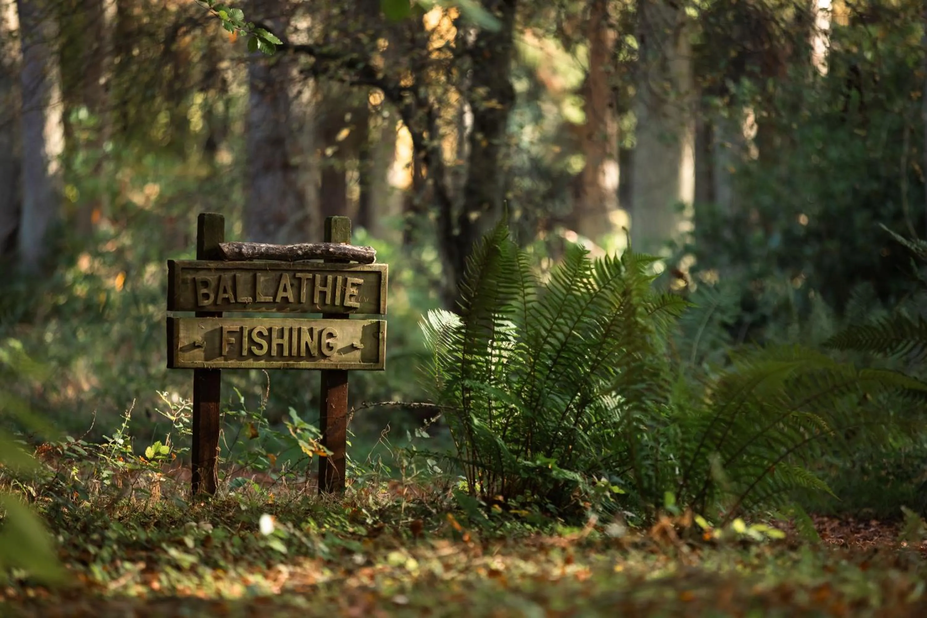 Natural landscape in Ballathie House Hotel