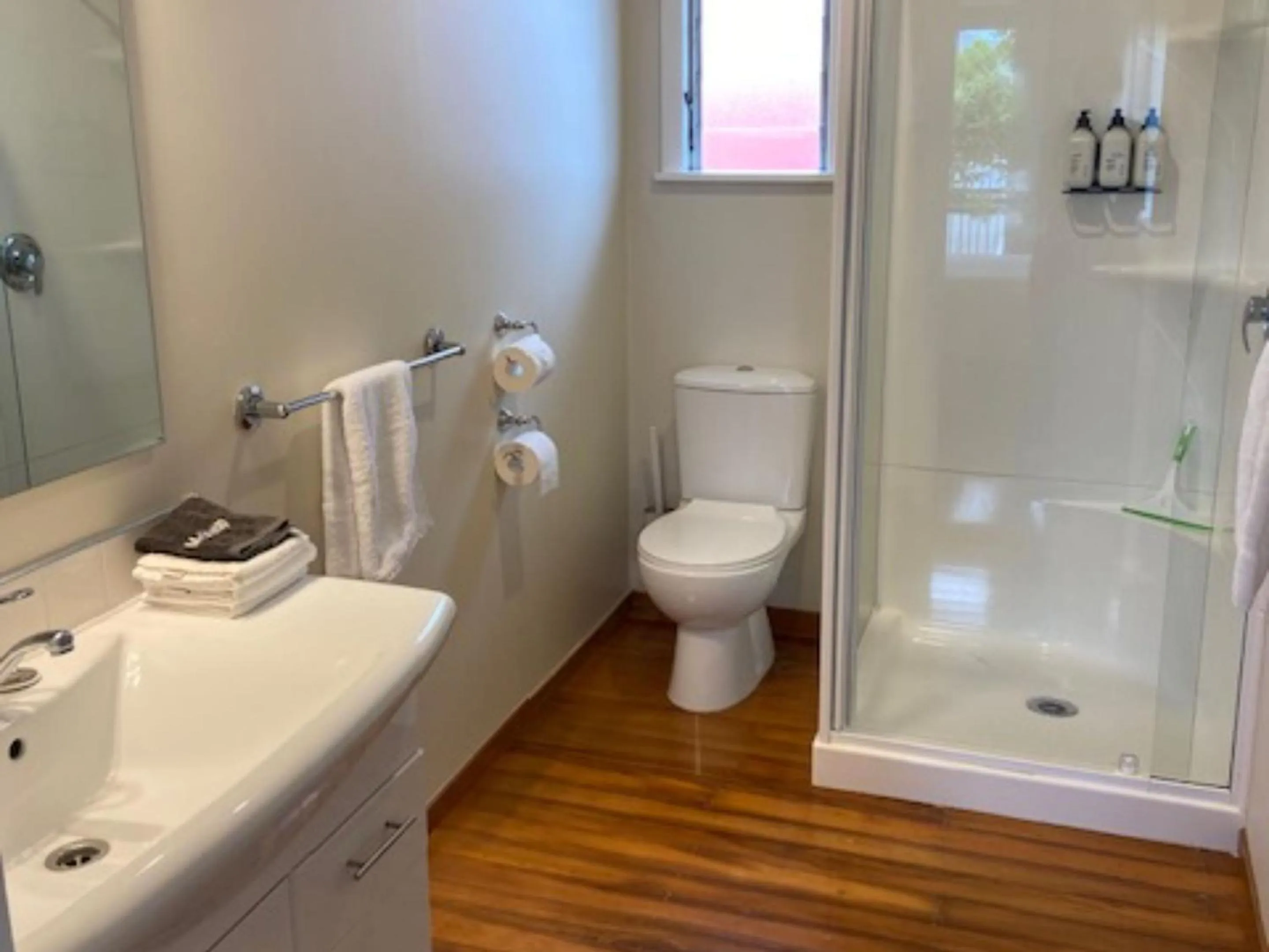 Toilet in Balmoral Motel