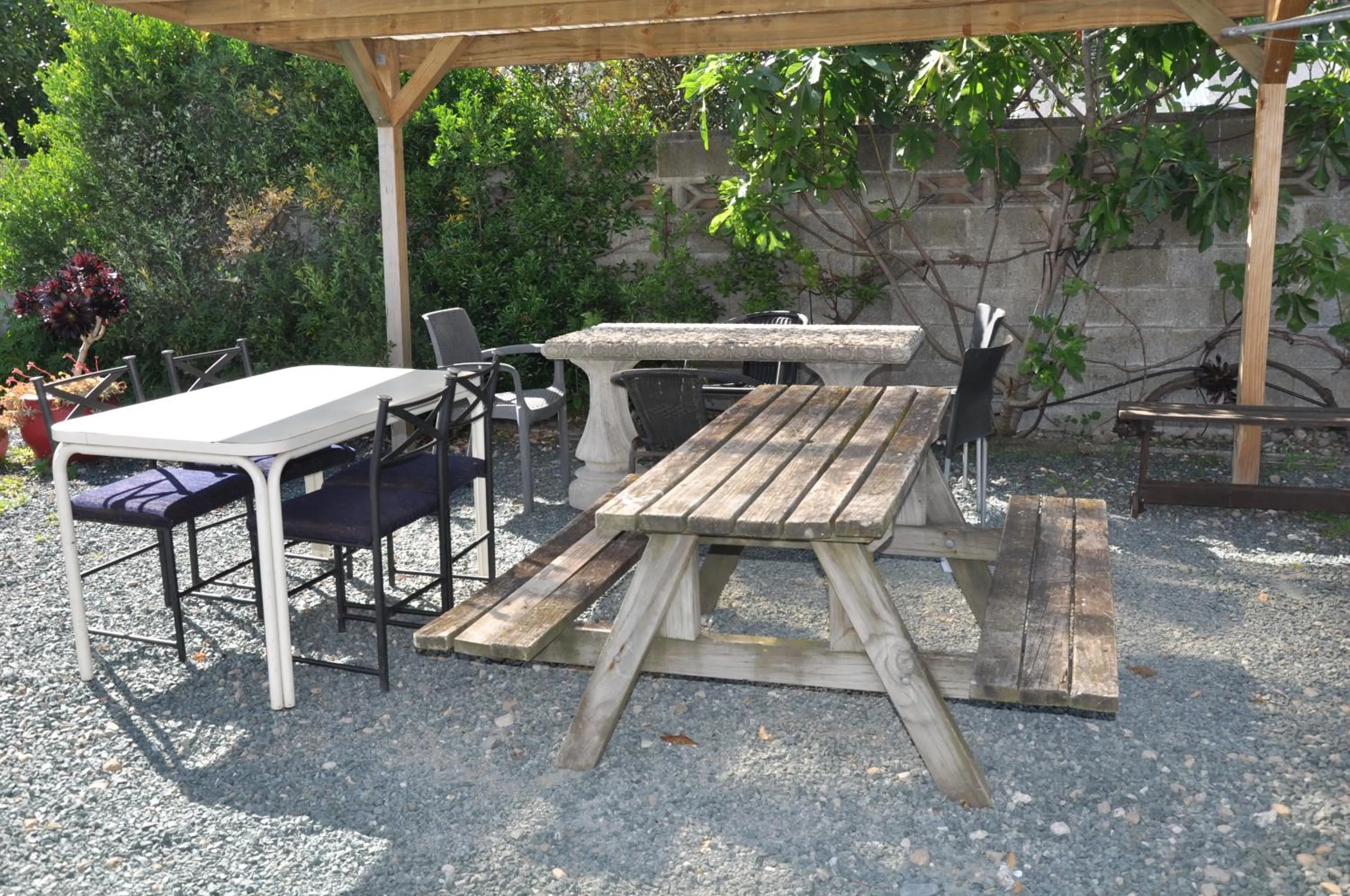 Garden in Balmoral Motel