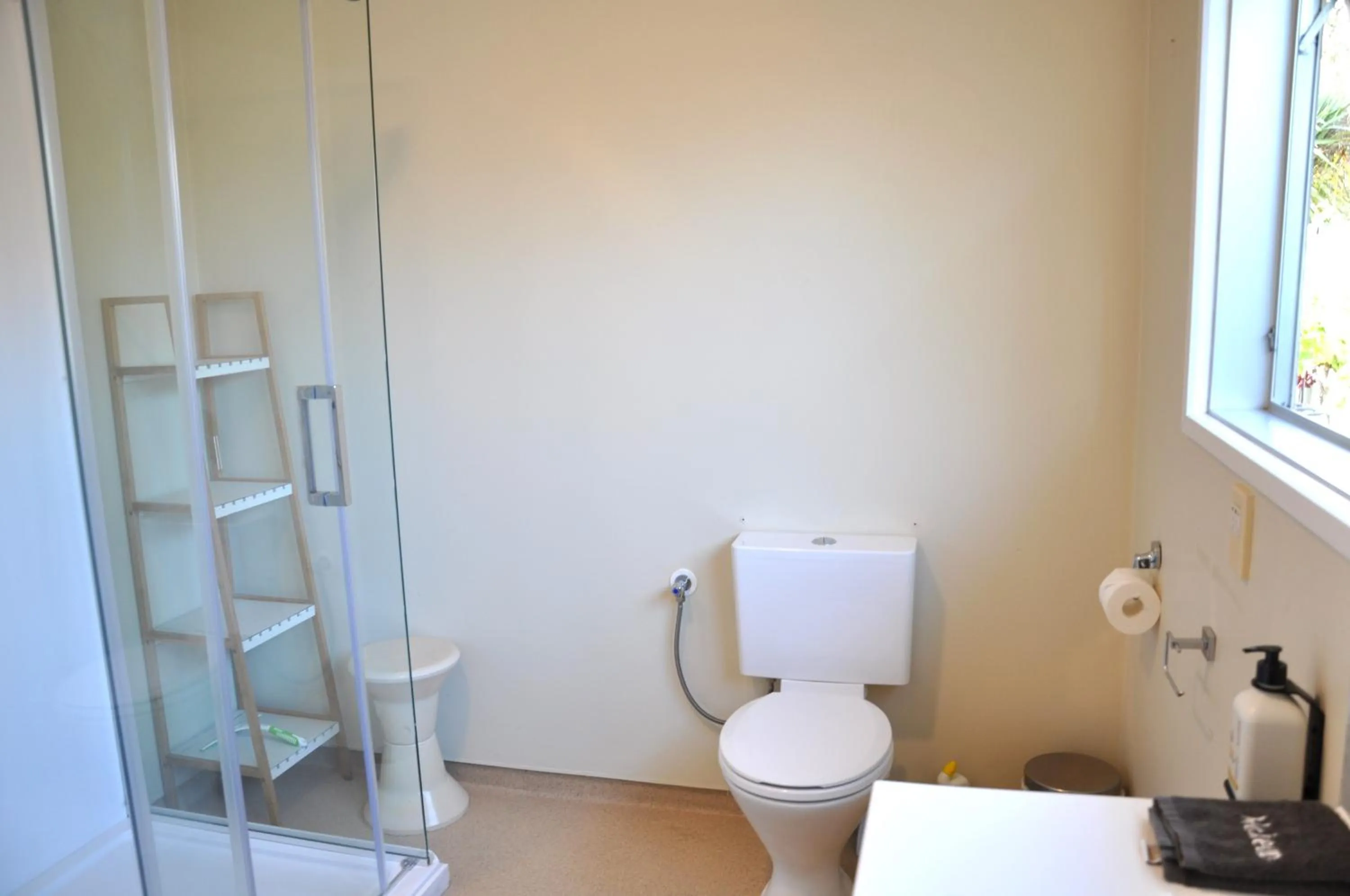 Toilet in Balmoral Motel