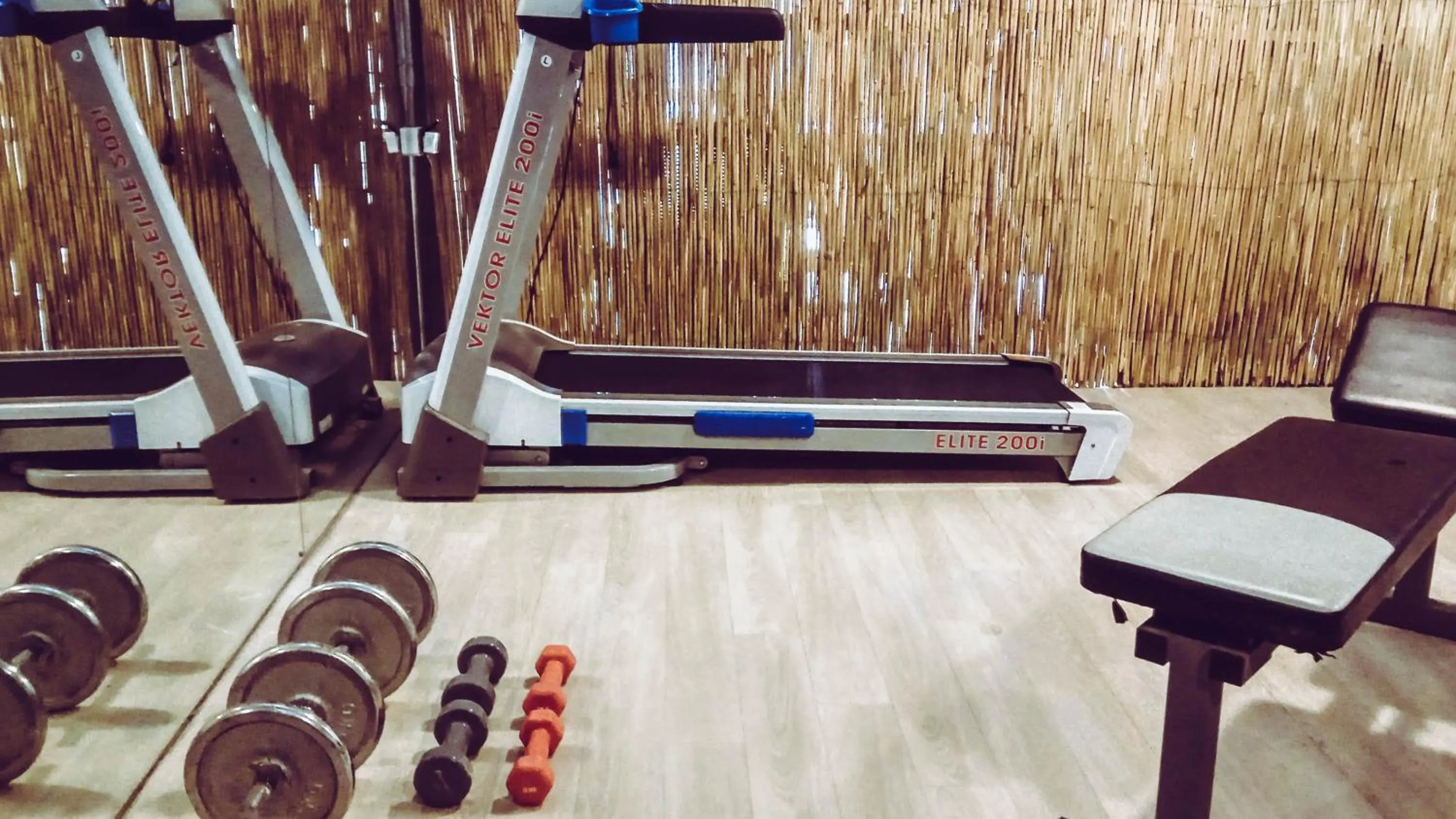 Fitness centre/facilities in Casa Afytos - Adults Only