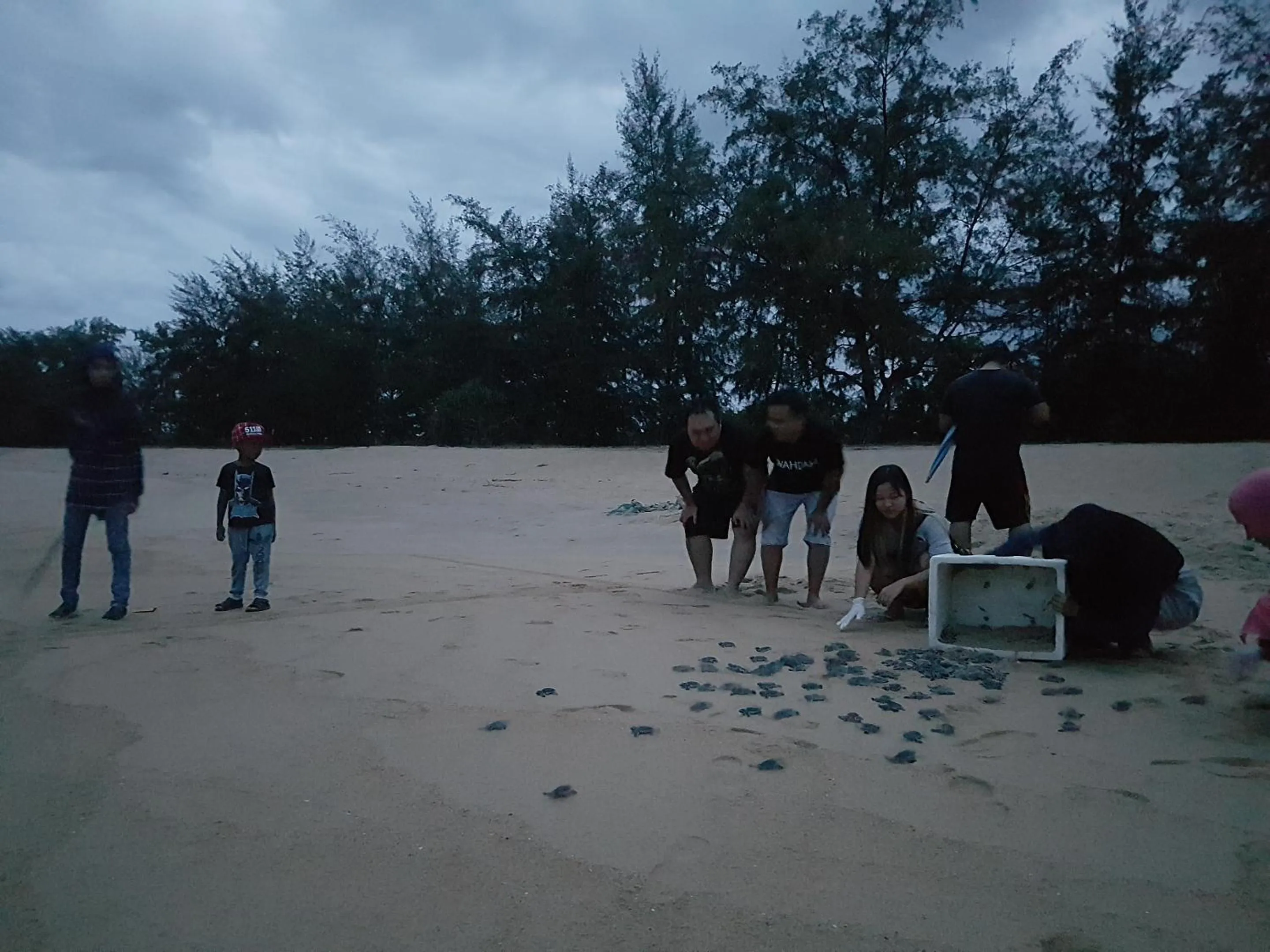 Pandan Laut Beach Resort