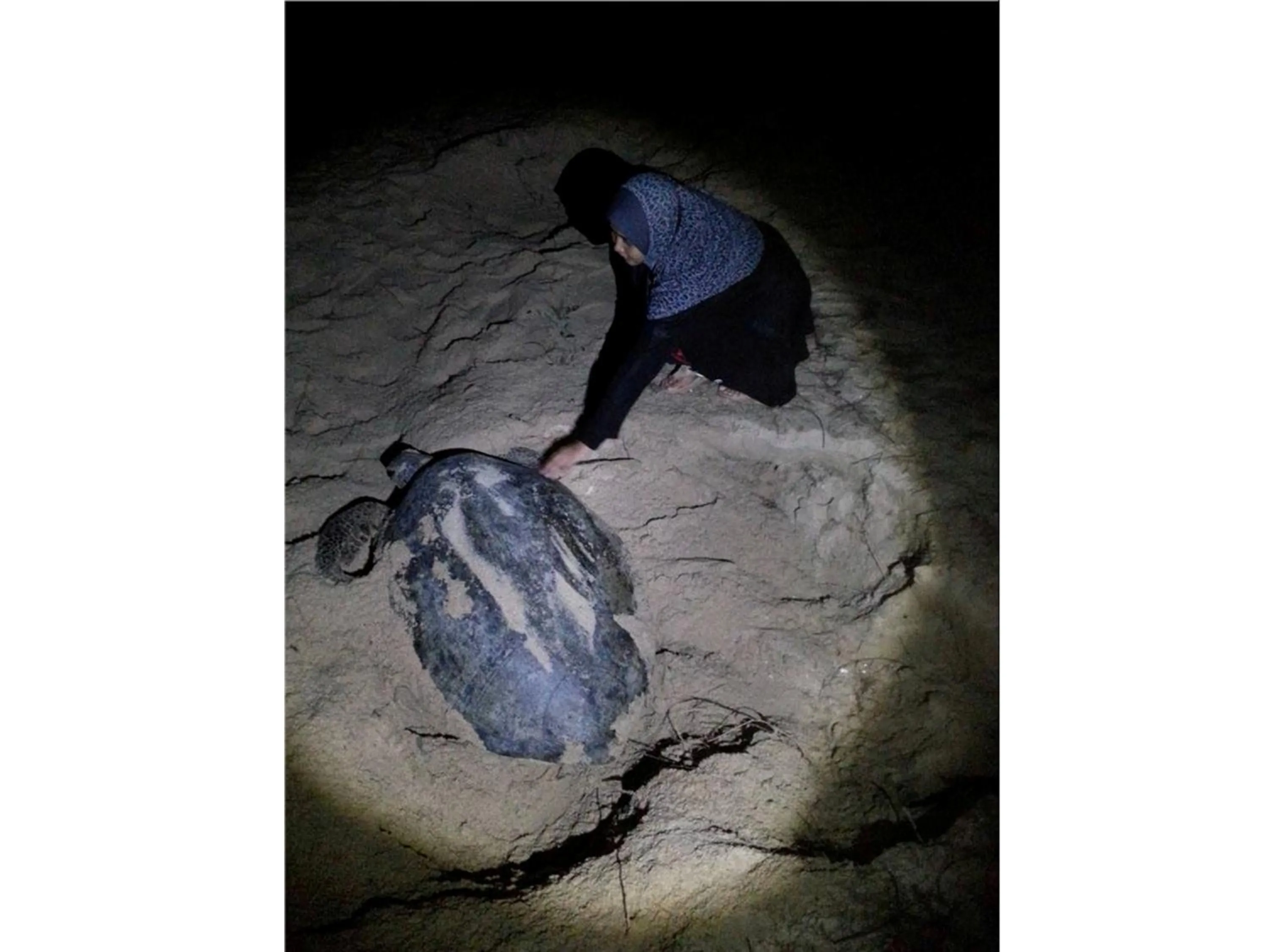 Pandan Laut Beach Resort