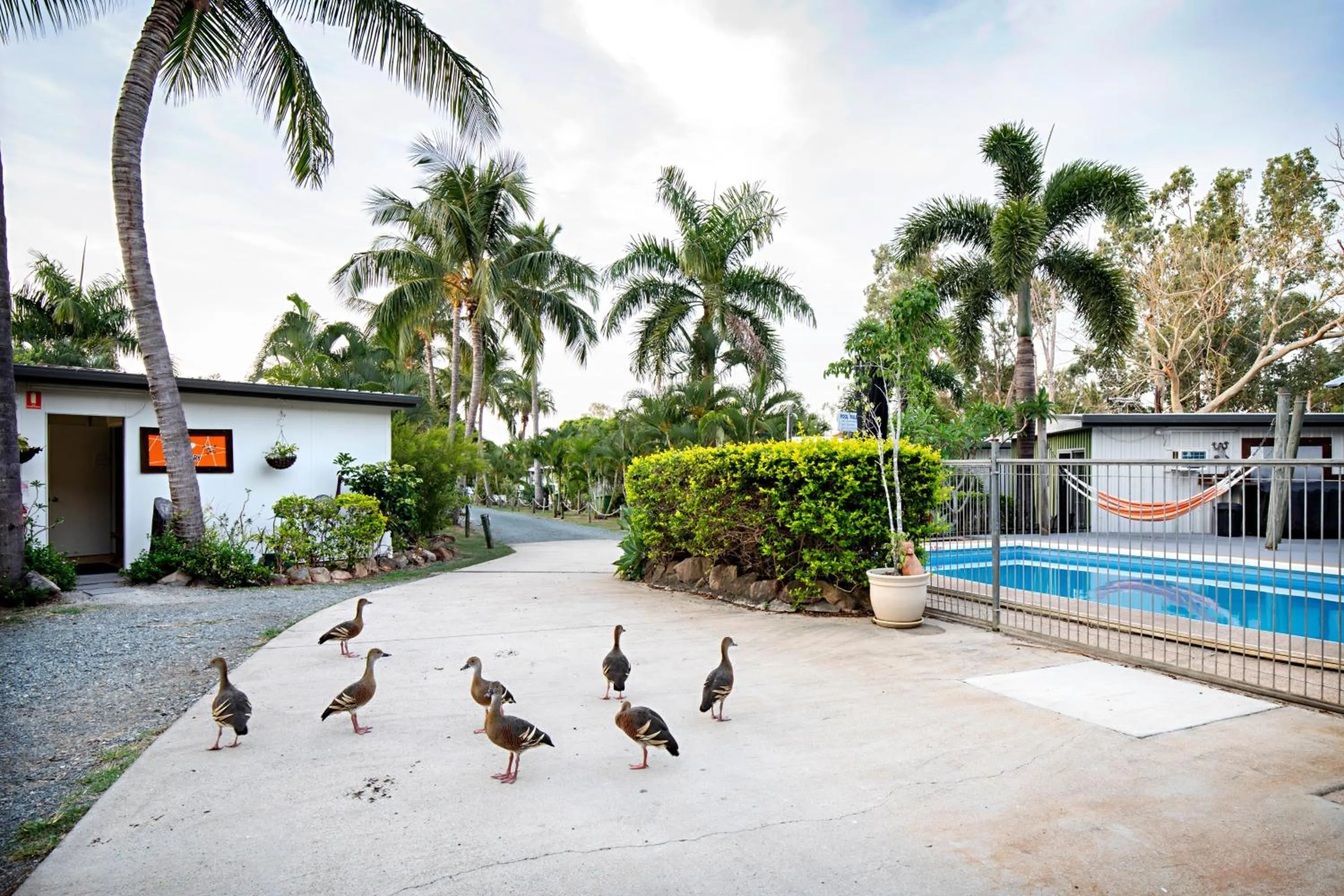Garden in Bush Village Holiday Cabins