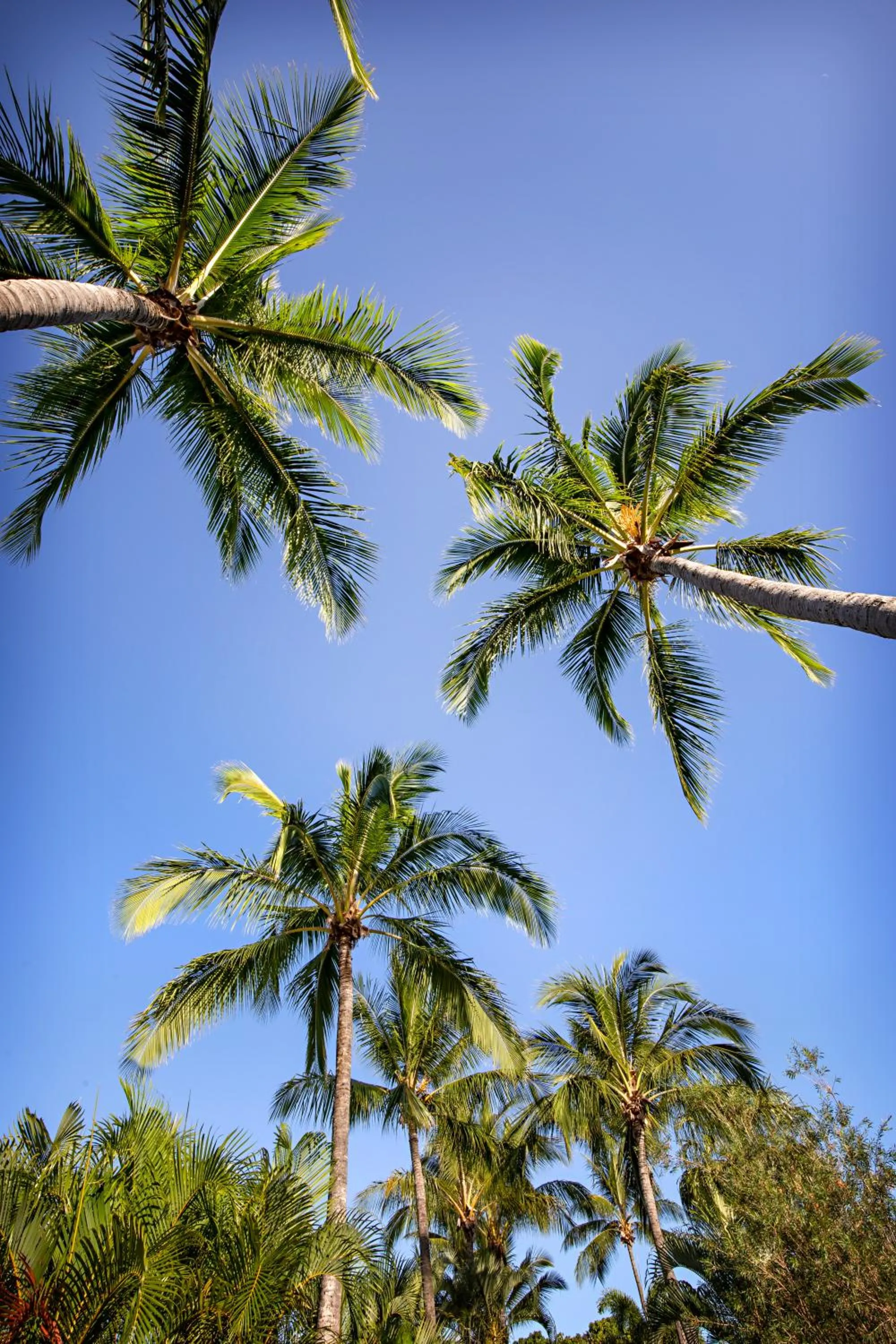Natural landscape in Bush Village Holiday Cabins