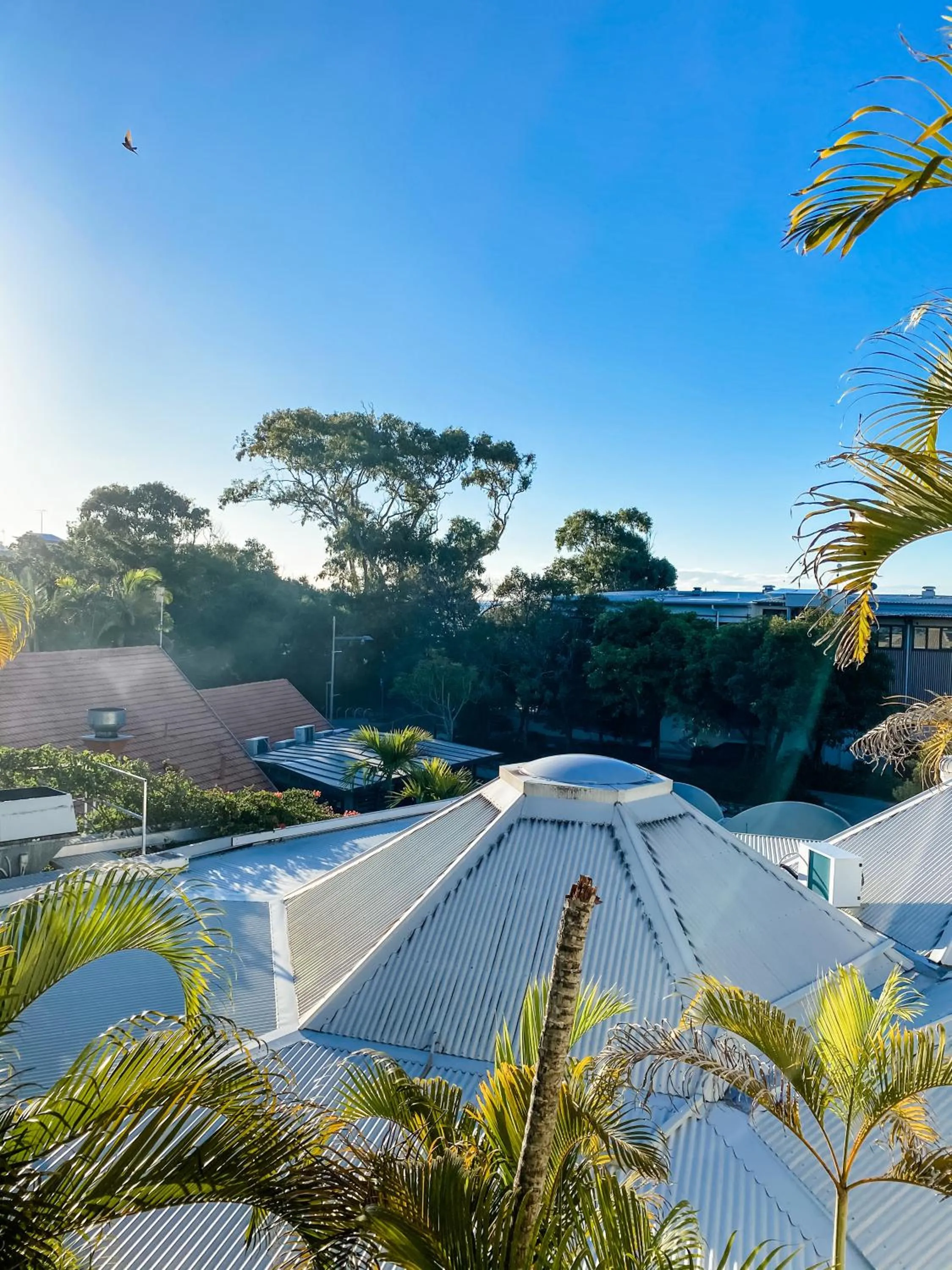 Natural landscape in Ocean Breeze Resort