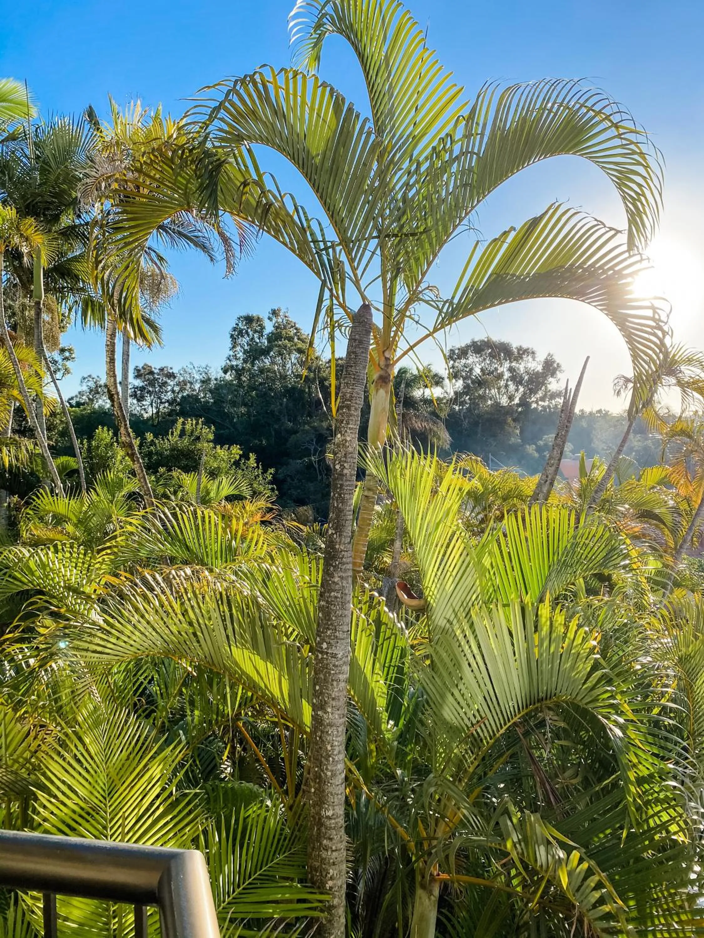 Natural landscape in Ocean Breeze Resort