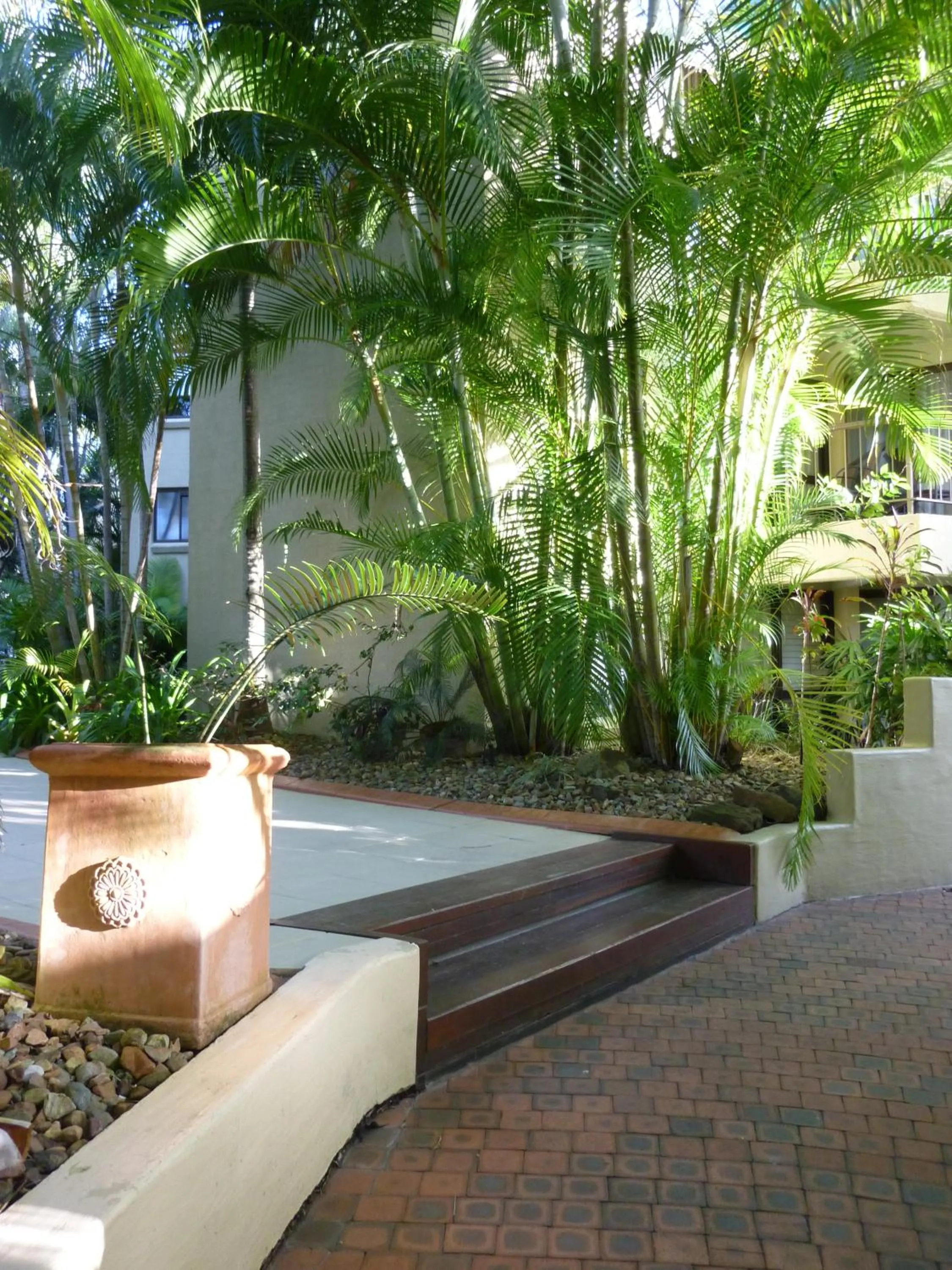 Garden in Ocean Breeze Resort