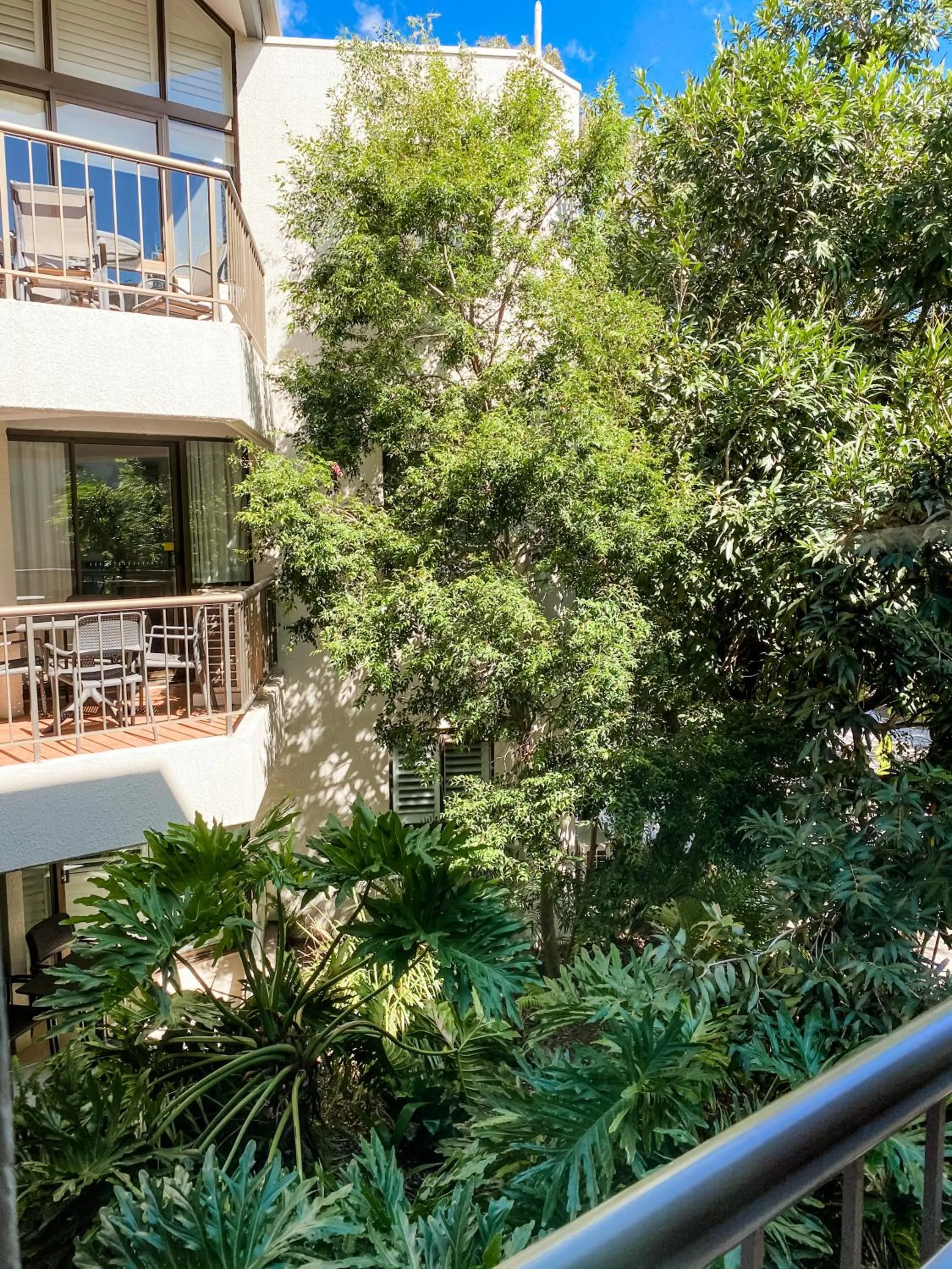 Garden view in Ocean Breeze Resort