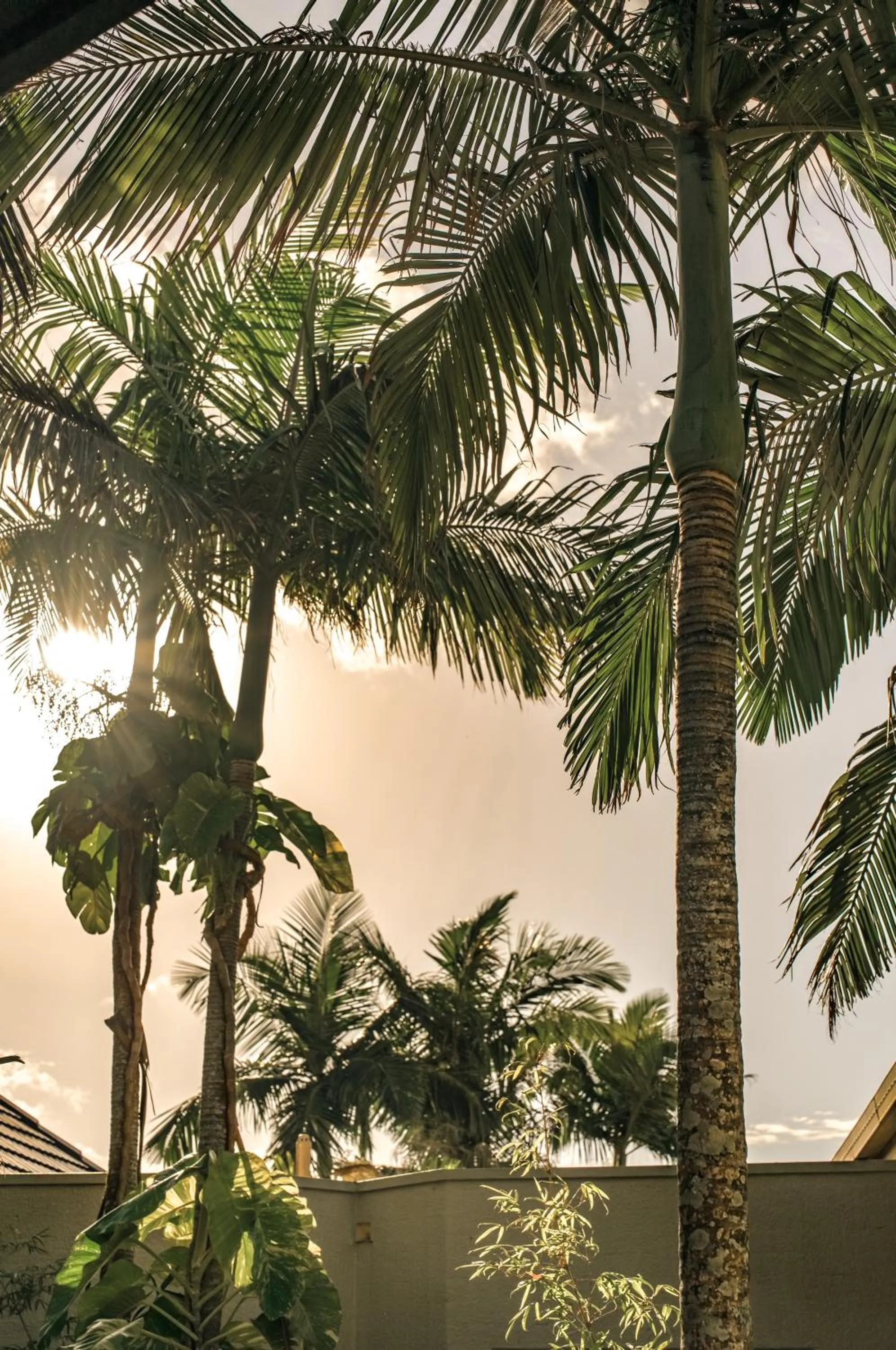 Day in Ocean Breeze Resort