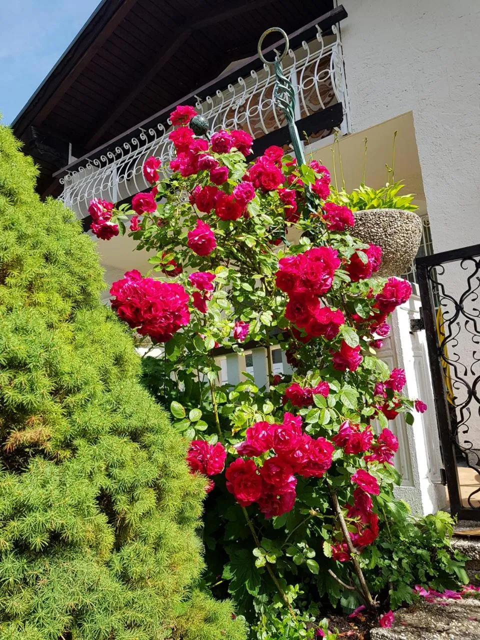 Facade/entrance in Aparthotel Pan Haus