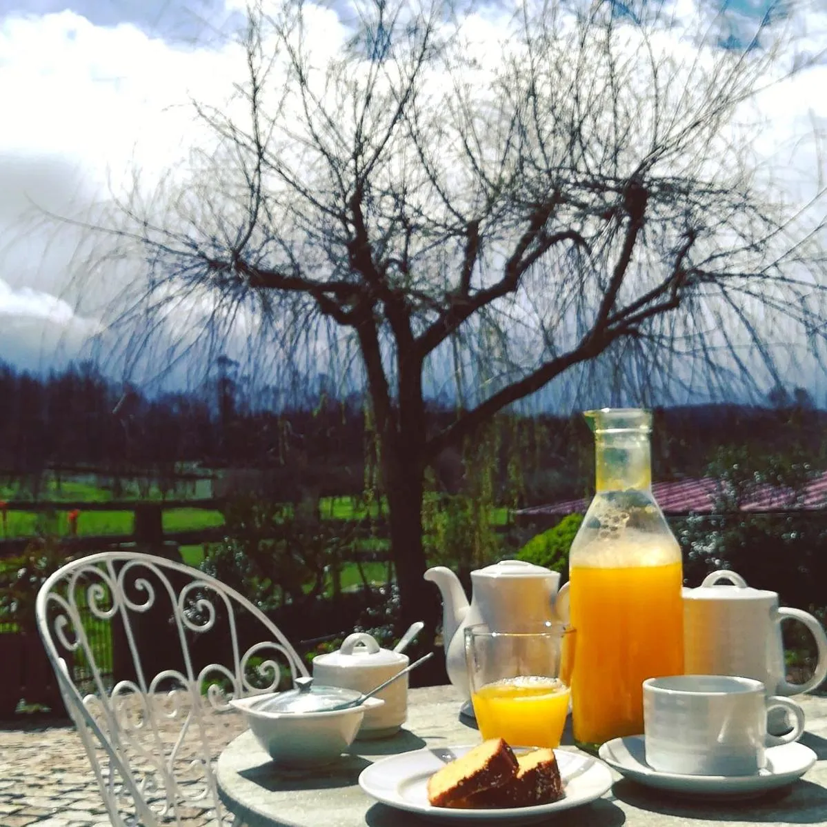 Natural landscape in Casa do Fundo - Sustainable & Ecotourism