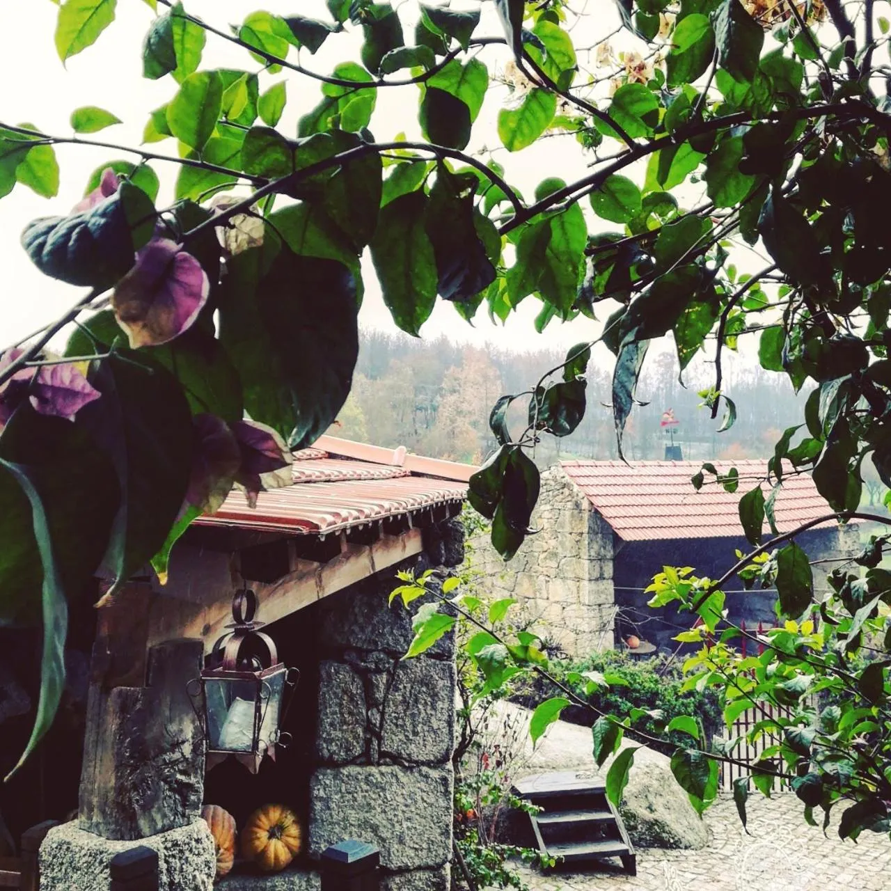 Spring in Casa do Fundo - Sustainable & Ecotourism