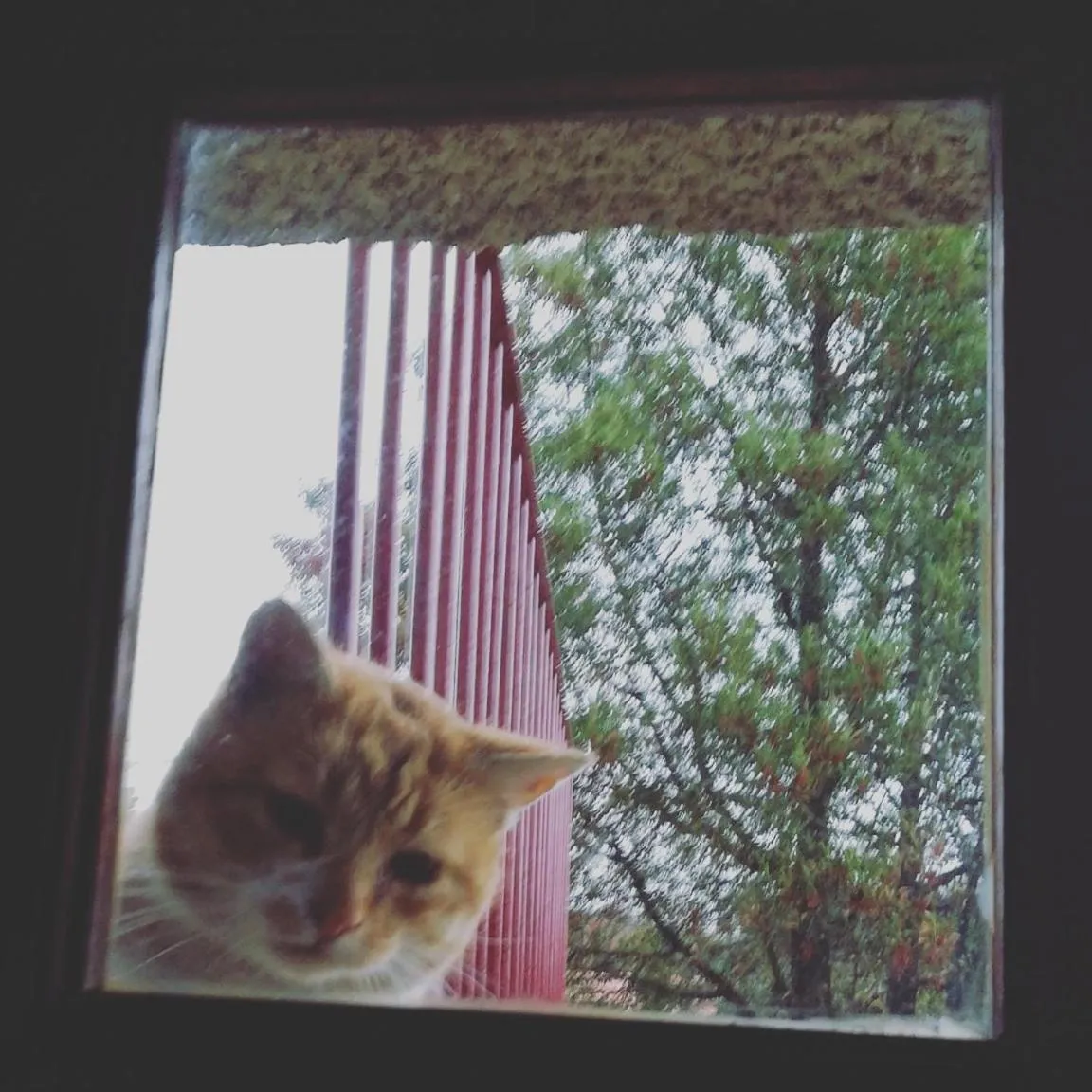 Casa do Fundo - Sustainable & Ecotourism