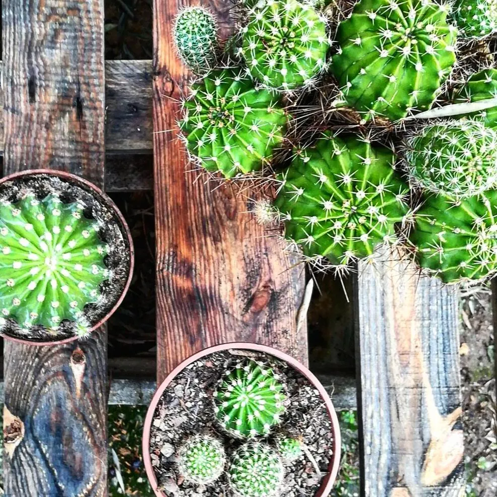 Day in Casa do Fundo - Sustainable & Ecotourism