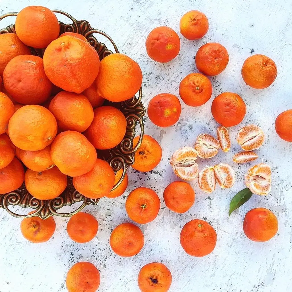 Food in Casa do Fundo - Sustainable & Ecotourism