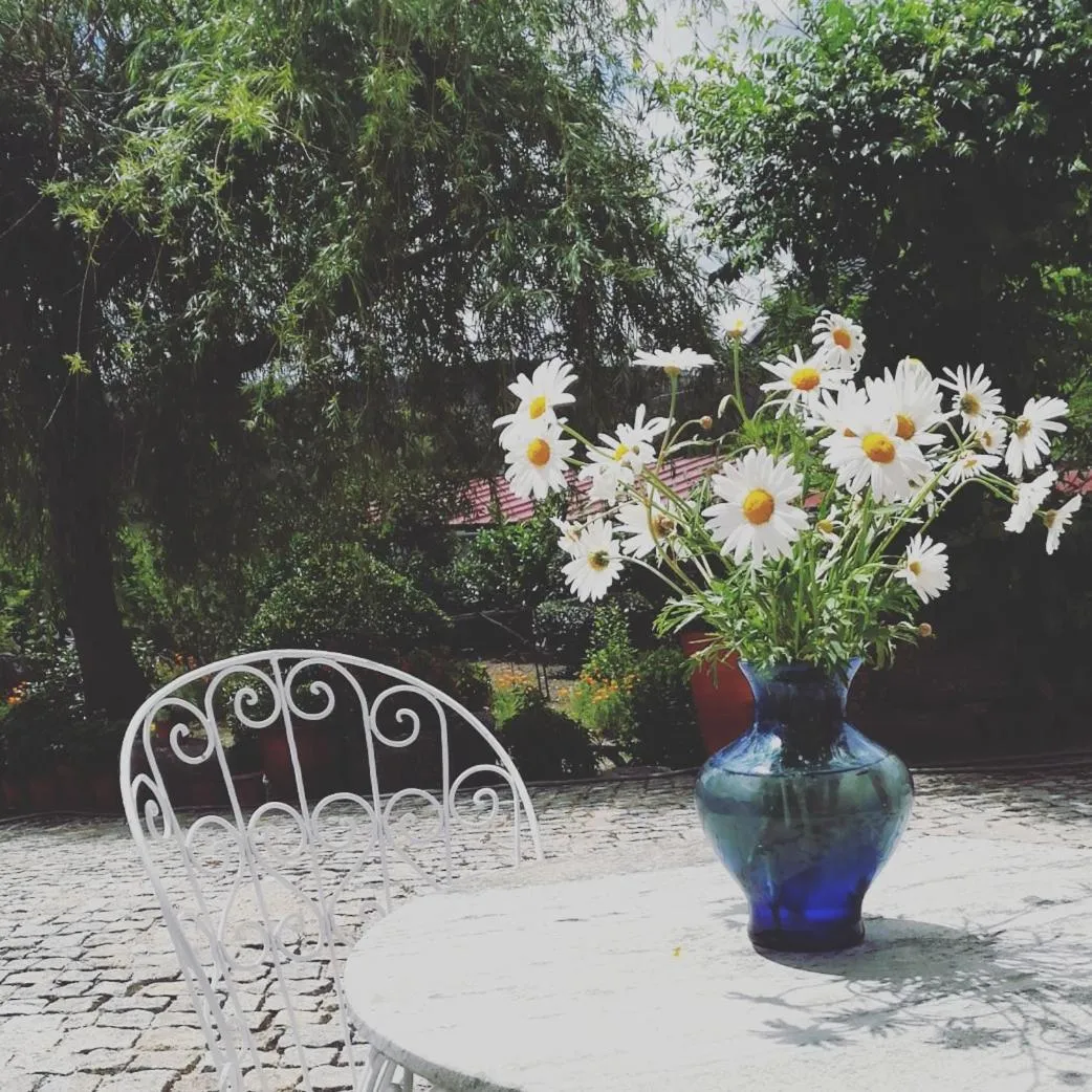 Day in Casa do Fundo - Sustainable & Ecotourism