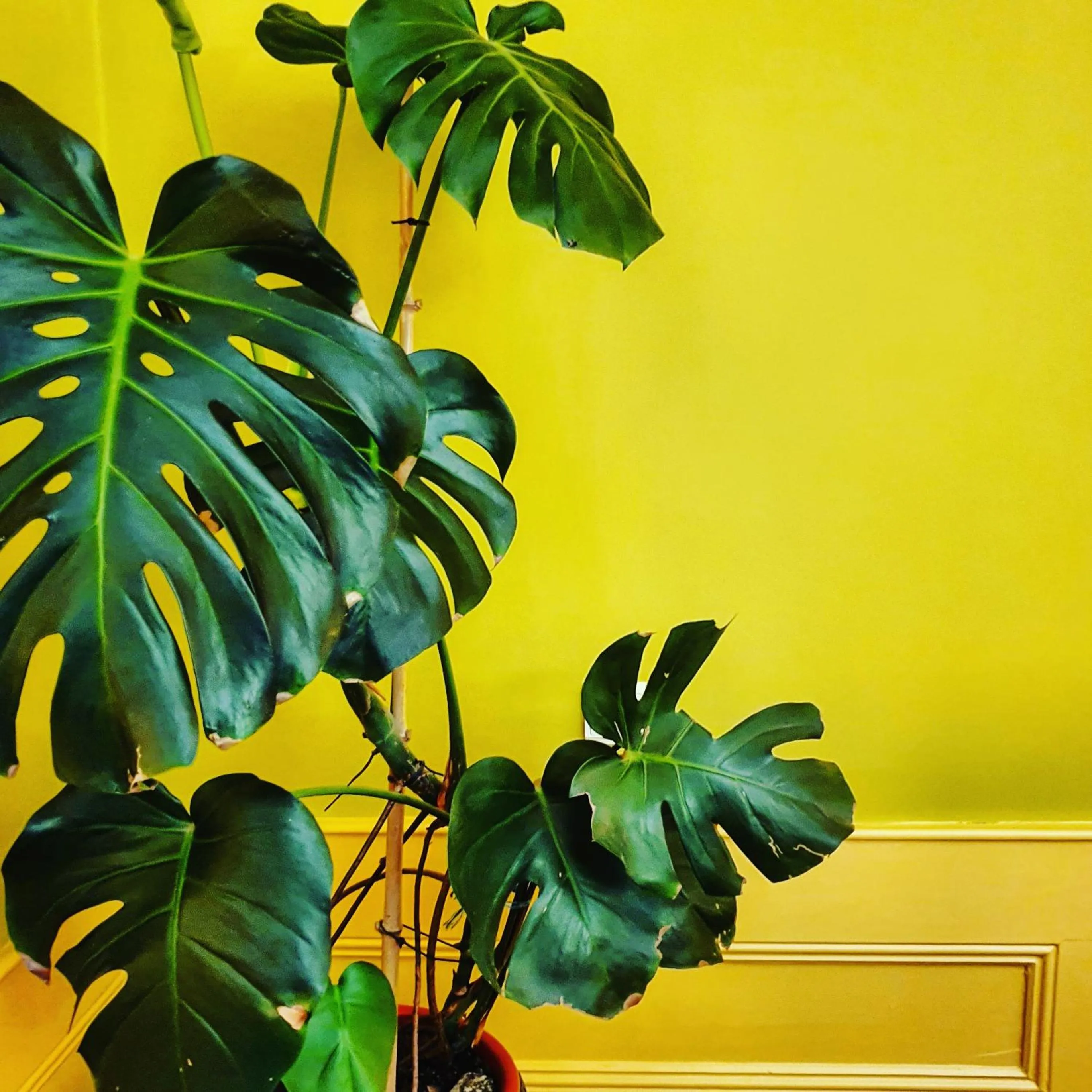 Communal lounge/ TV room in Casa do Fundo - Sustainable & Ecotourism