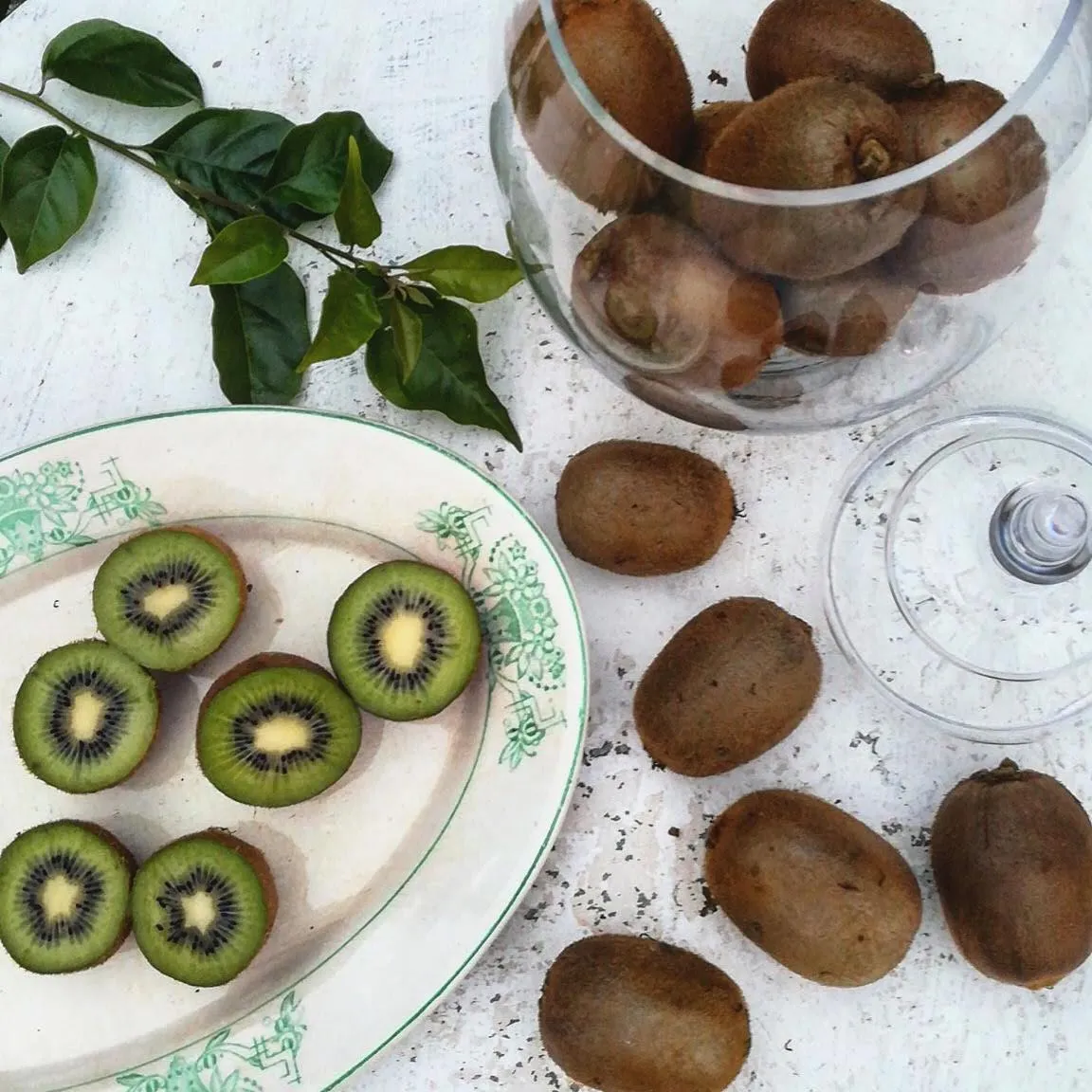 Casa do Fundo - Sustainable & Ecotourism