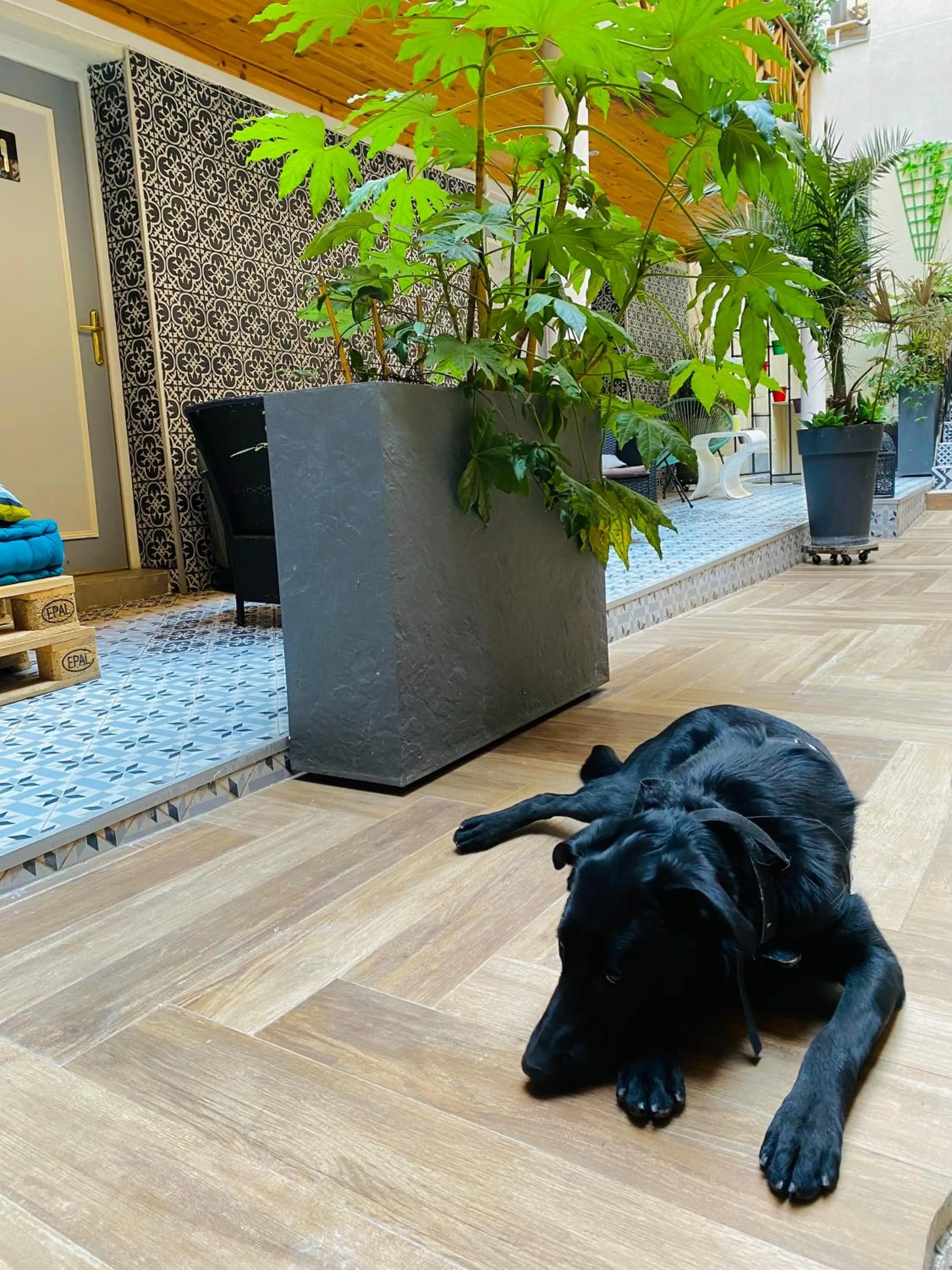 Patio in Hôtel Clairefontaine