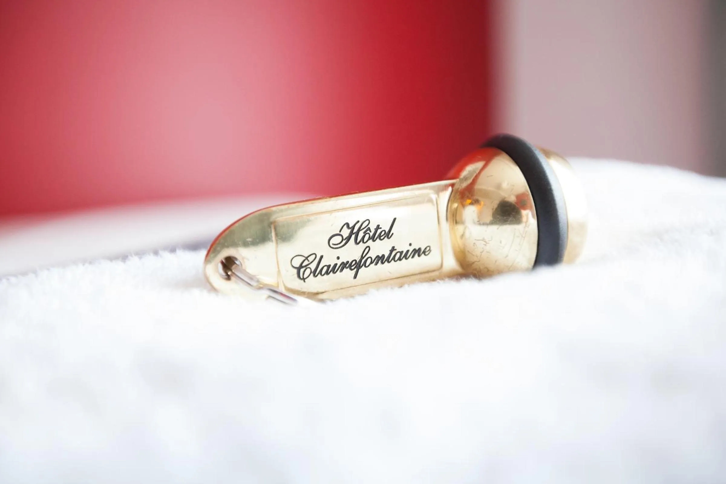 Decorative detail in Hôtel Clairefontaine