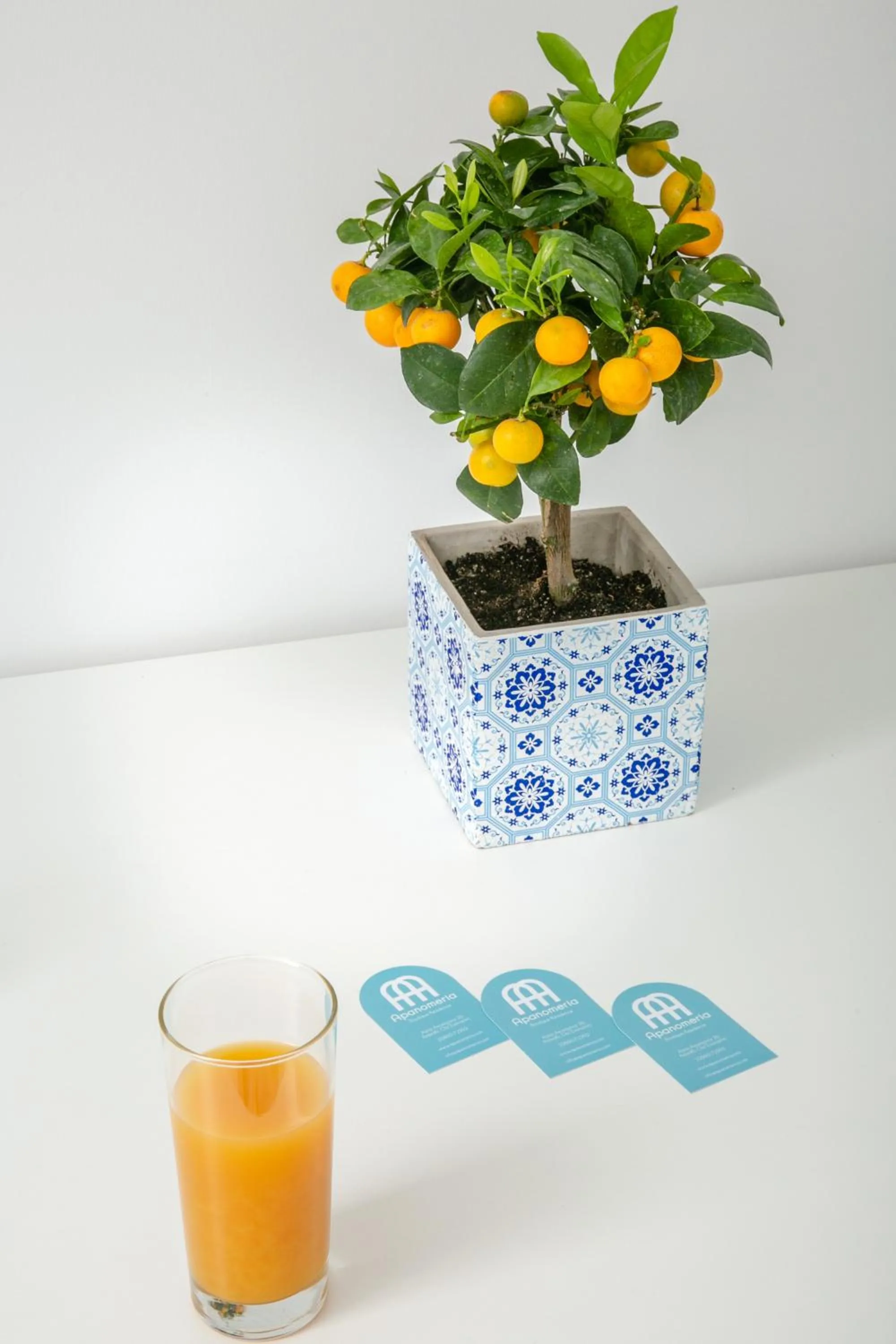 Day in Apanomeria Boutique Residence