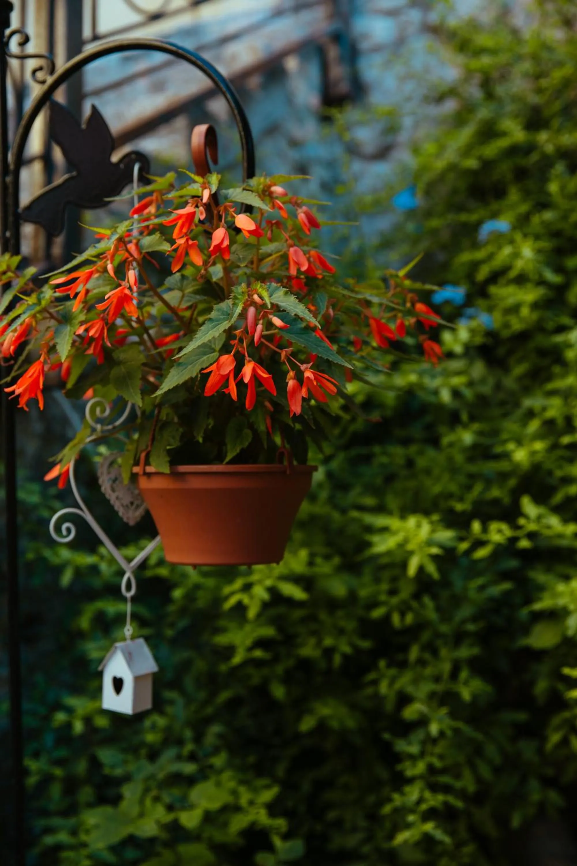 Breakfast in Rigas Pension Nafplio